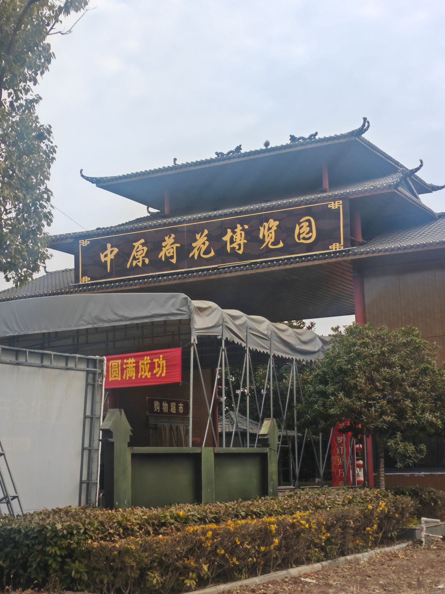 中原荷花博览园旅行图片 1