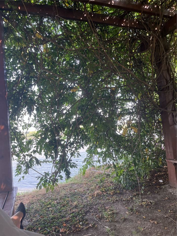 中原荷花博览园旅行图片 2