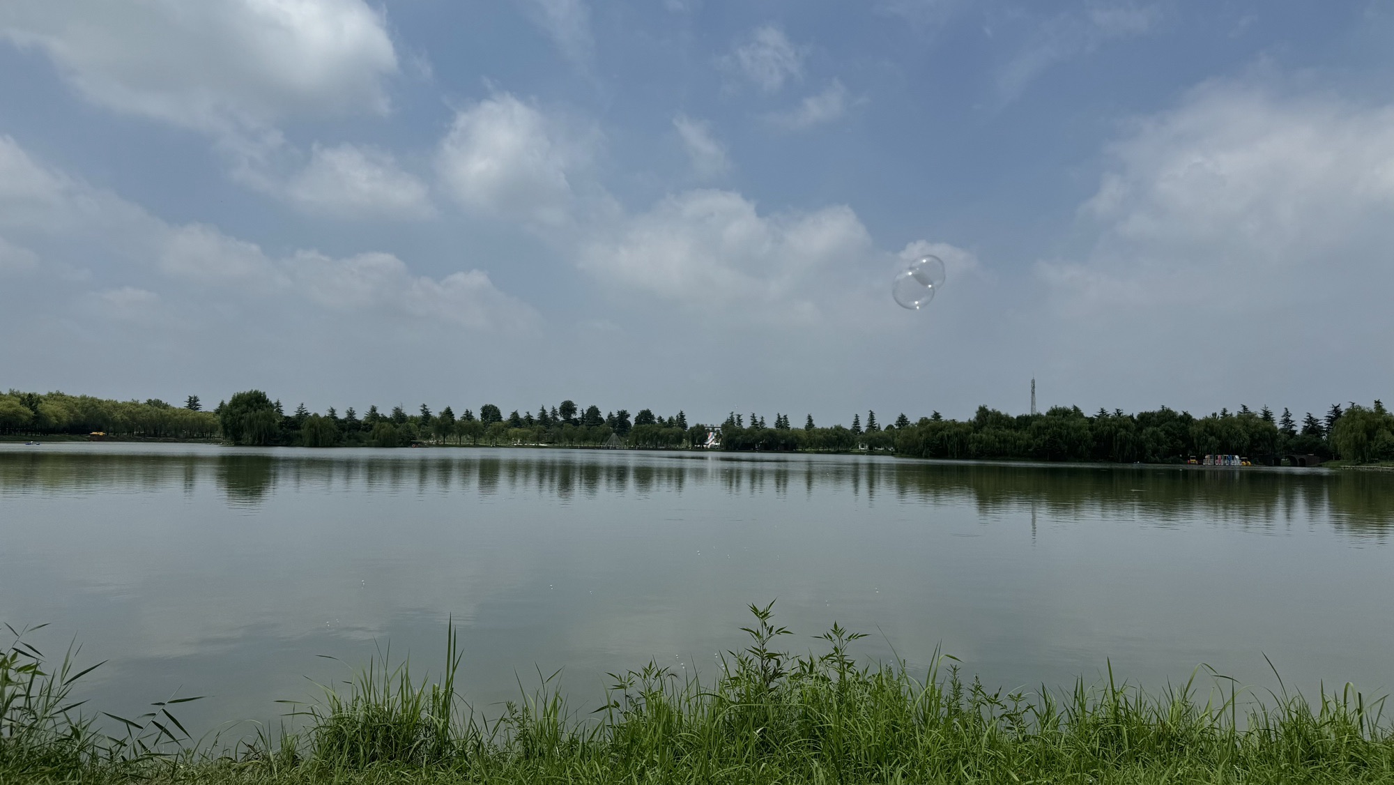 中原荷花博览园旅行图片 2