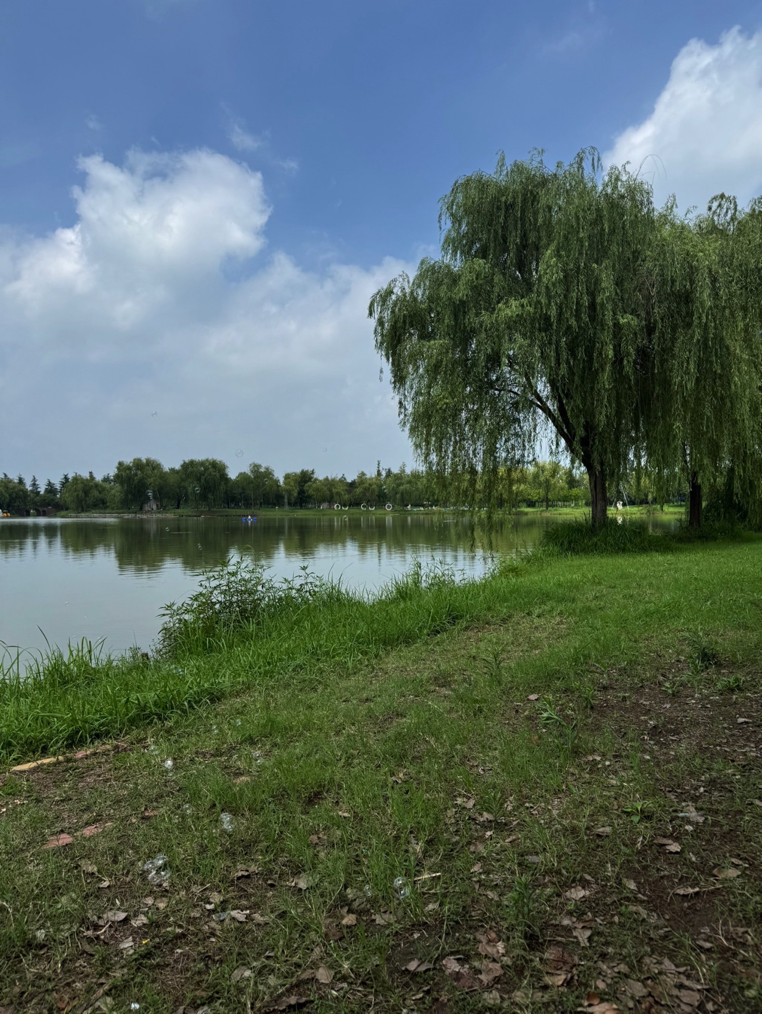 中原荷花博览园旅行图片 1