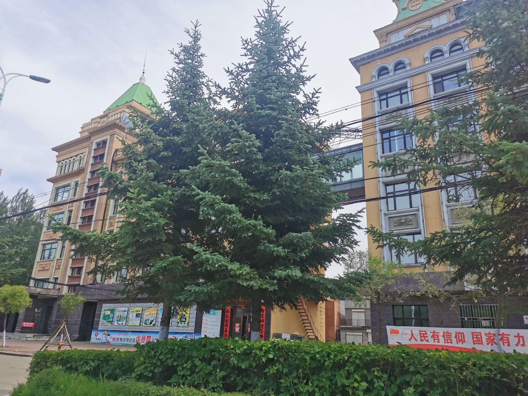 沿江公园旅行图片 3