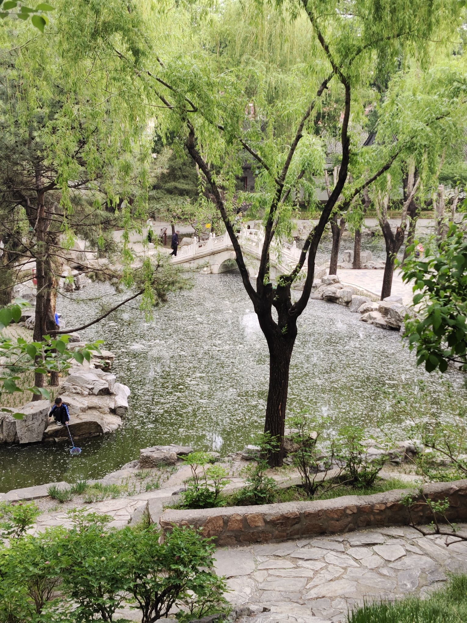 大观园旅行图片 1