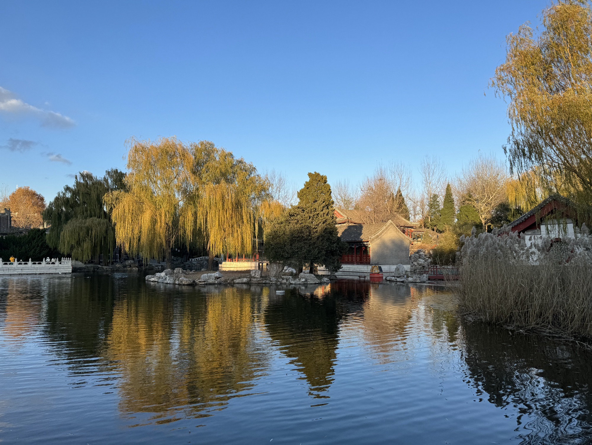 大观园旅行图片 1