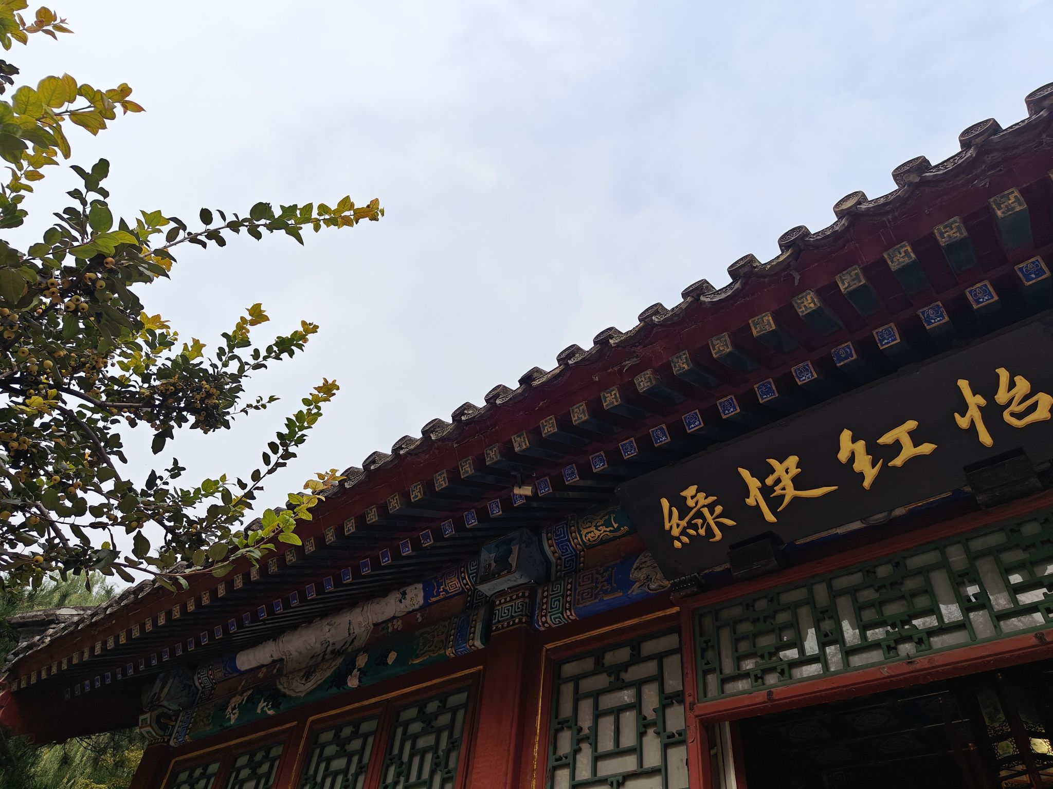 大观园旅行图片 2