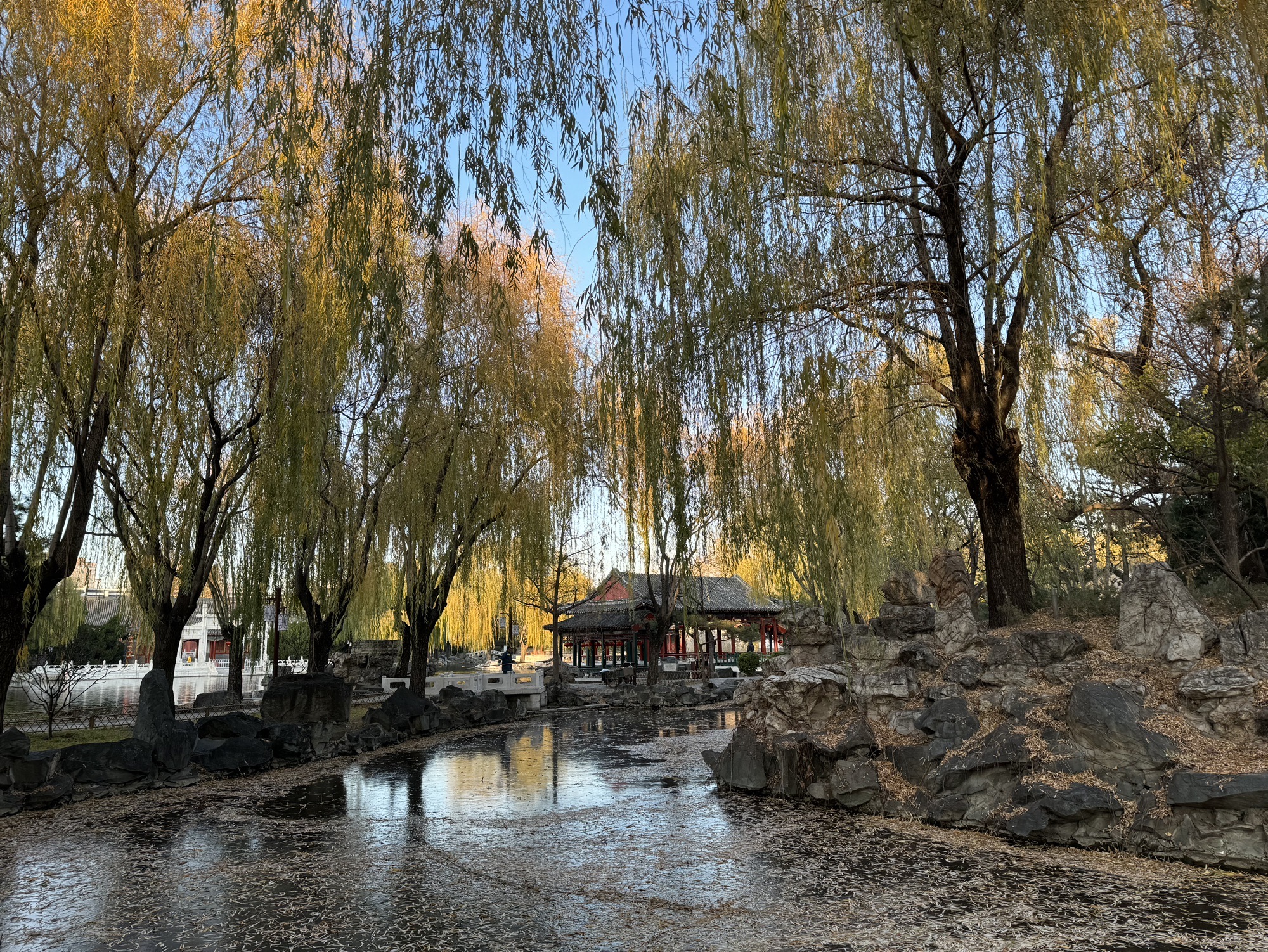 大观园旅行图片 3