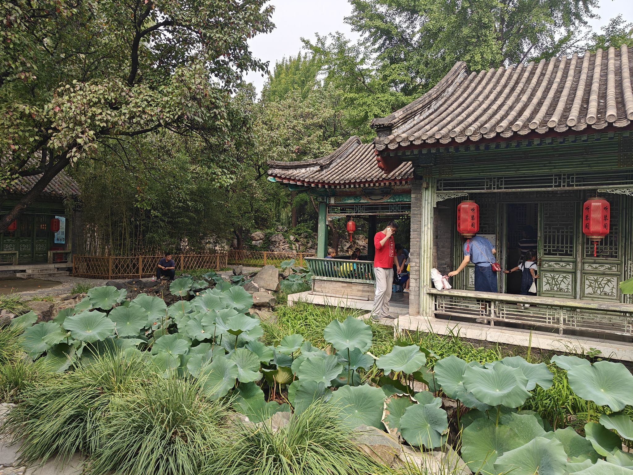 大观园旅行图片 1