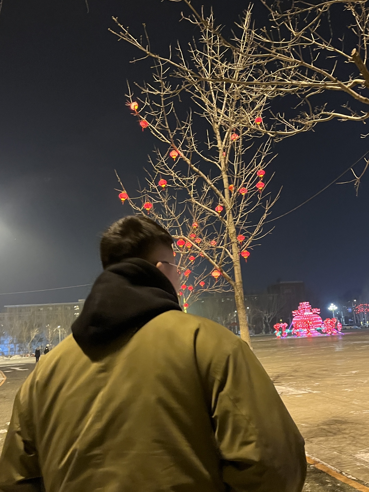 锦江公园旅行图片 1
