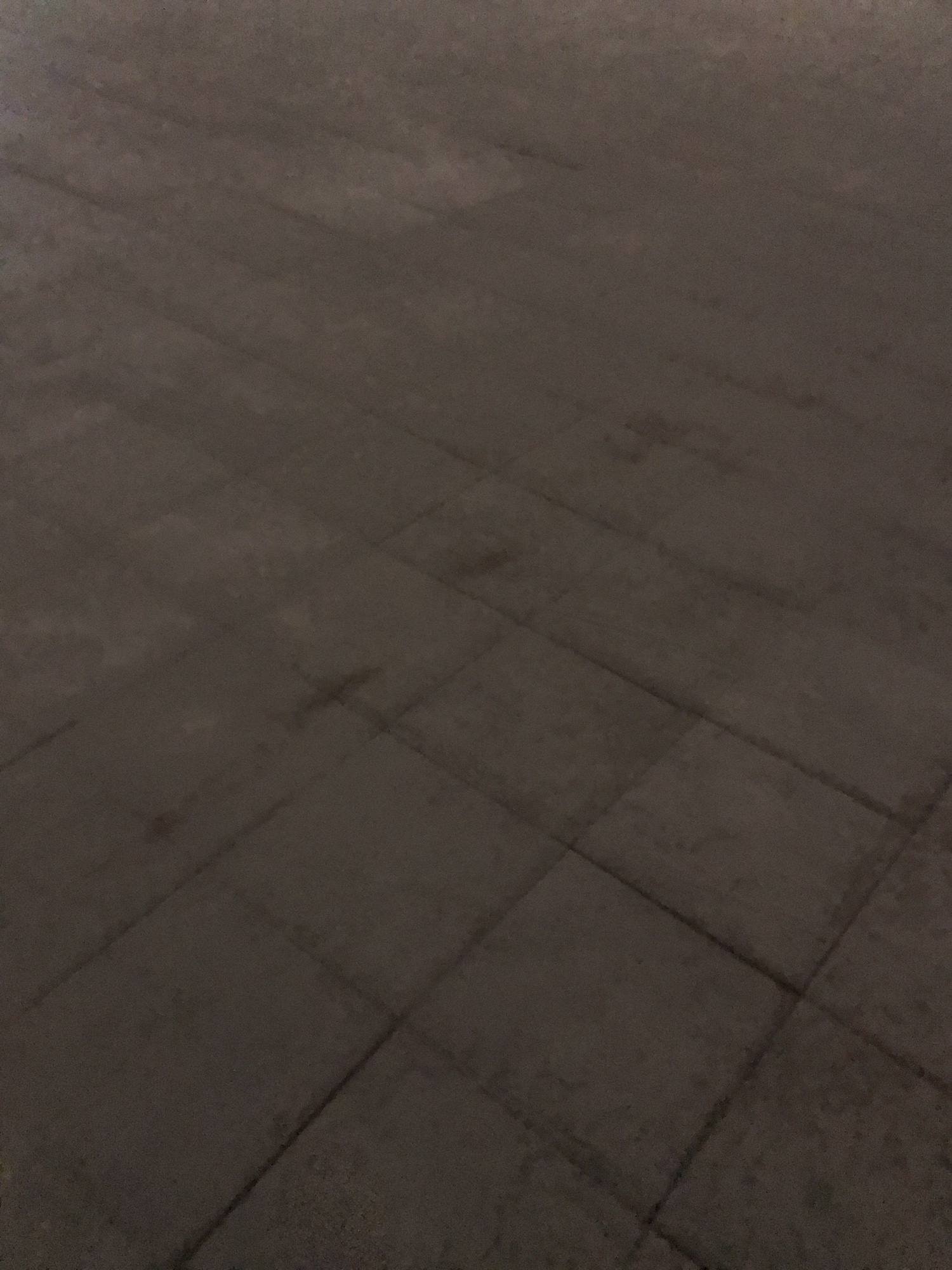锦江公园旅行图片 3