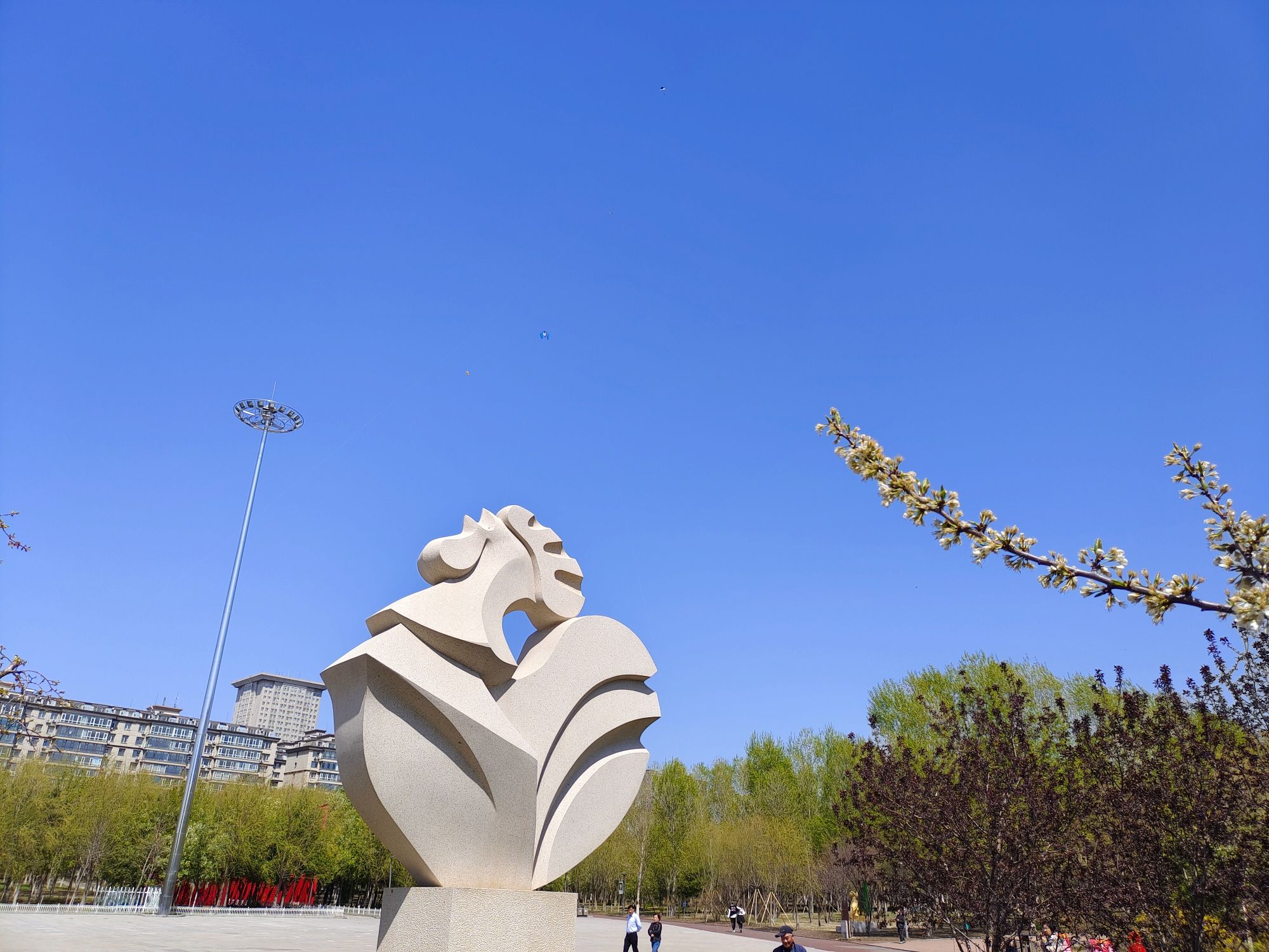锦江公园旅行图片 2
