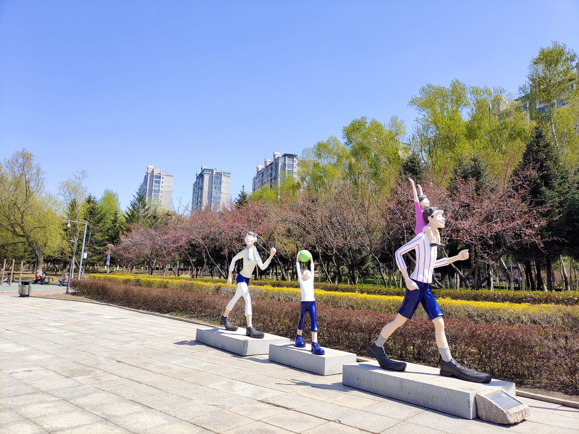 锦江公园旅行图片 3