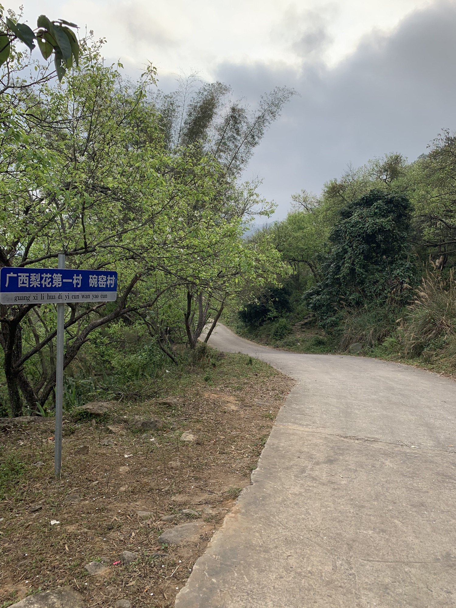 碗窑梨花谷景区旅行图片 2