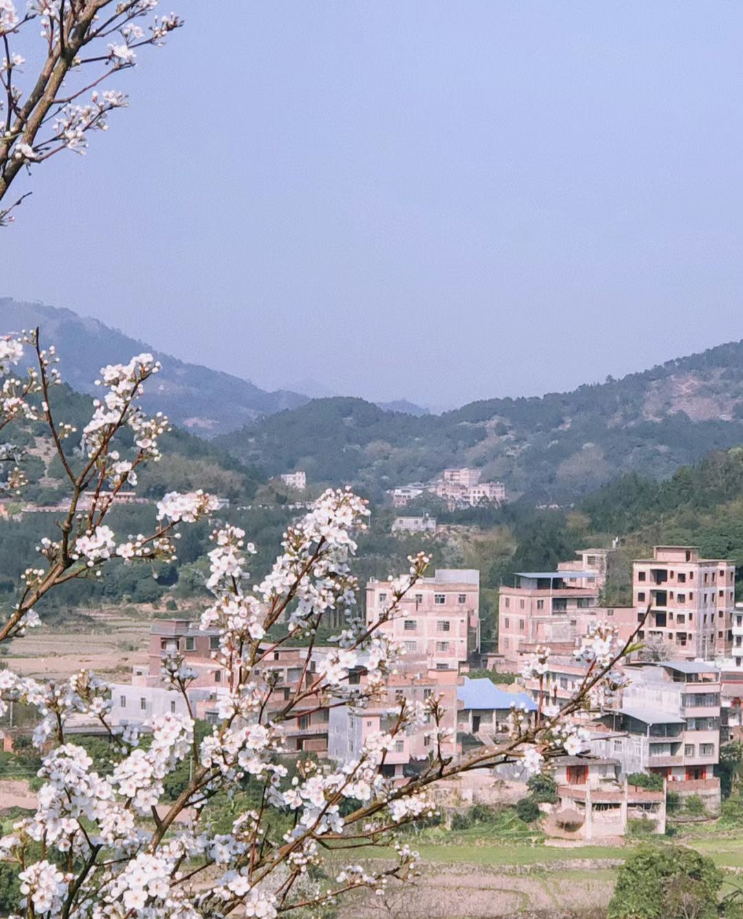 碗窑梨花谷景区旅行图片 2