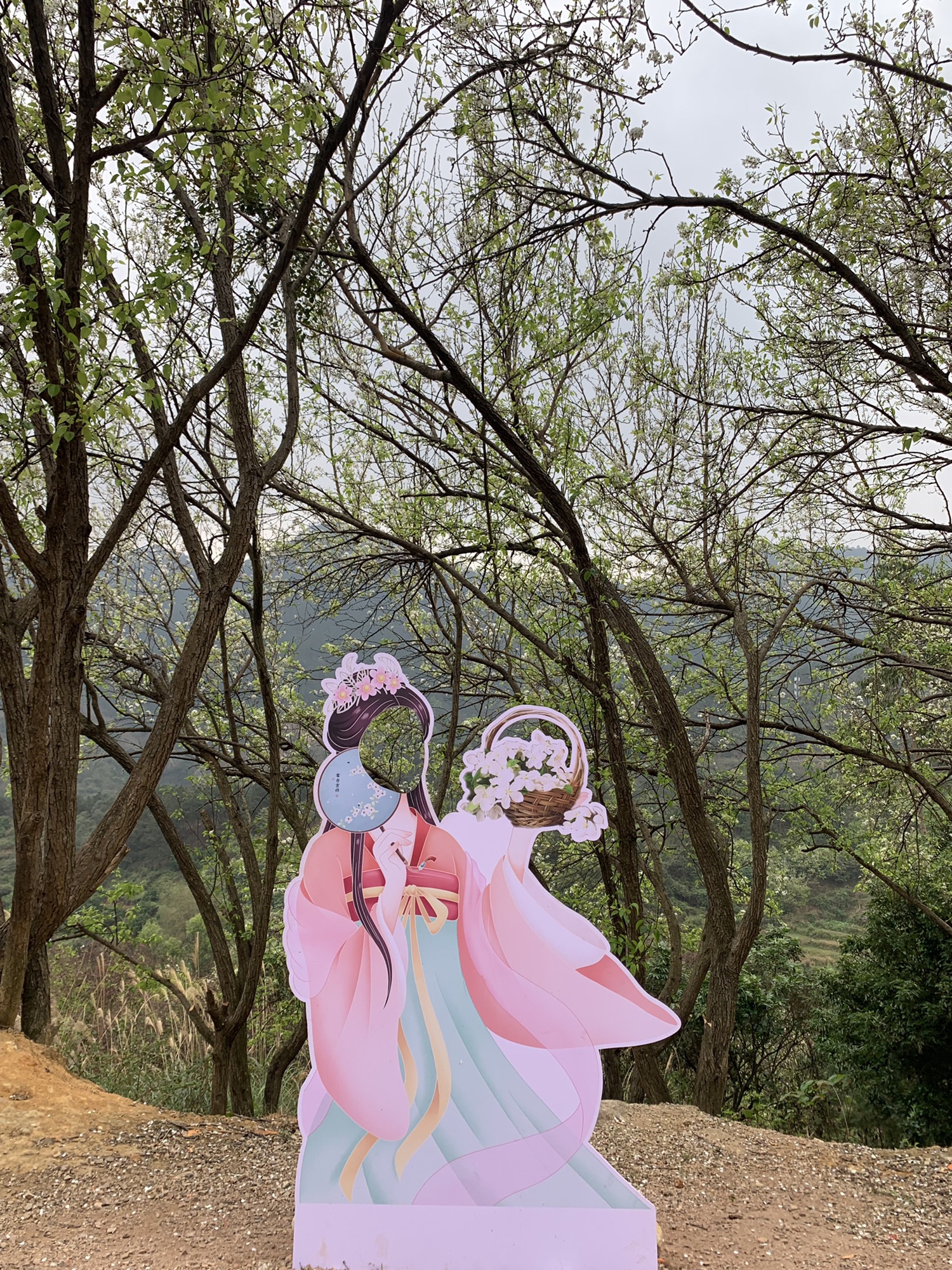 碗窑梨花谷景区旅行图片 3