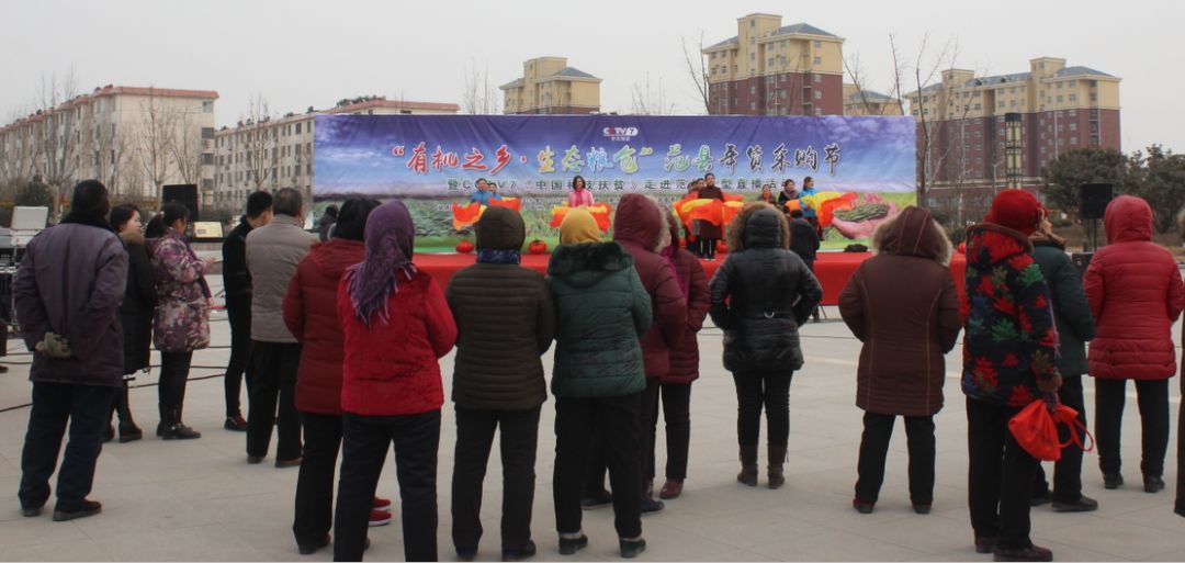 市民公园旅行图片 1