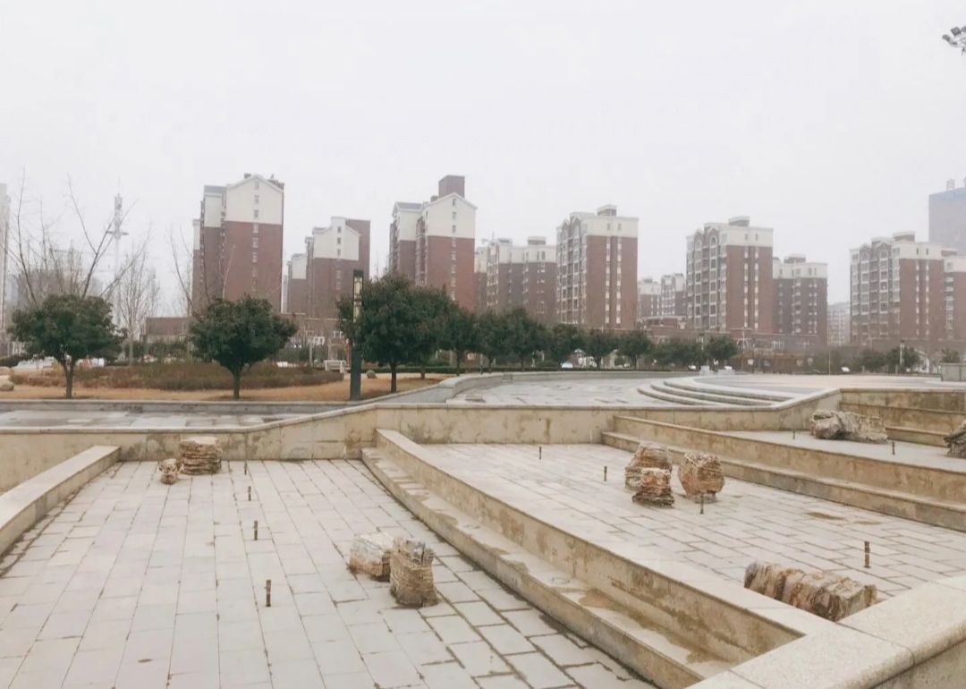 市民公园旅行图片 2