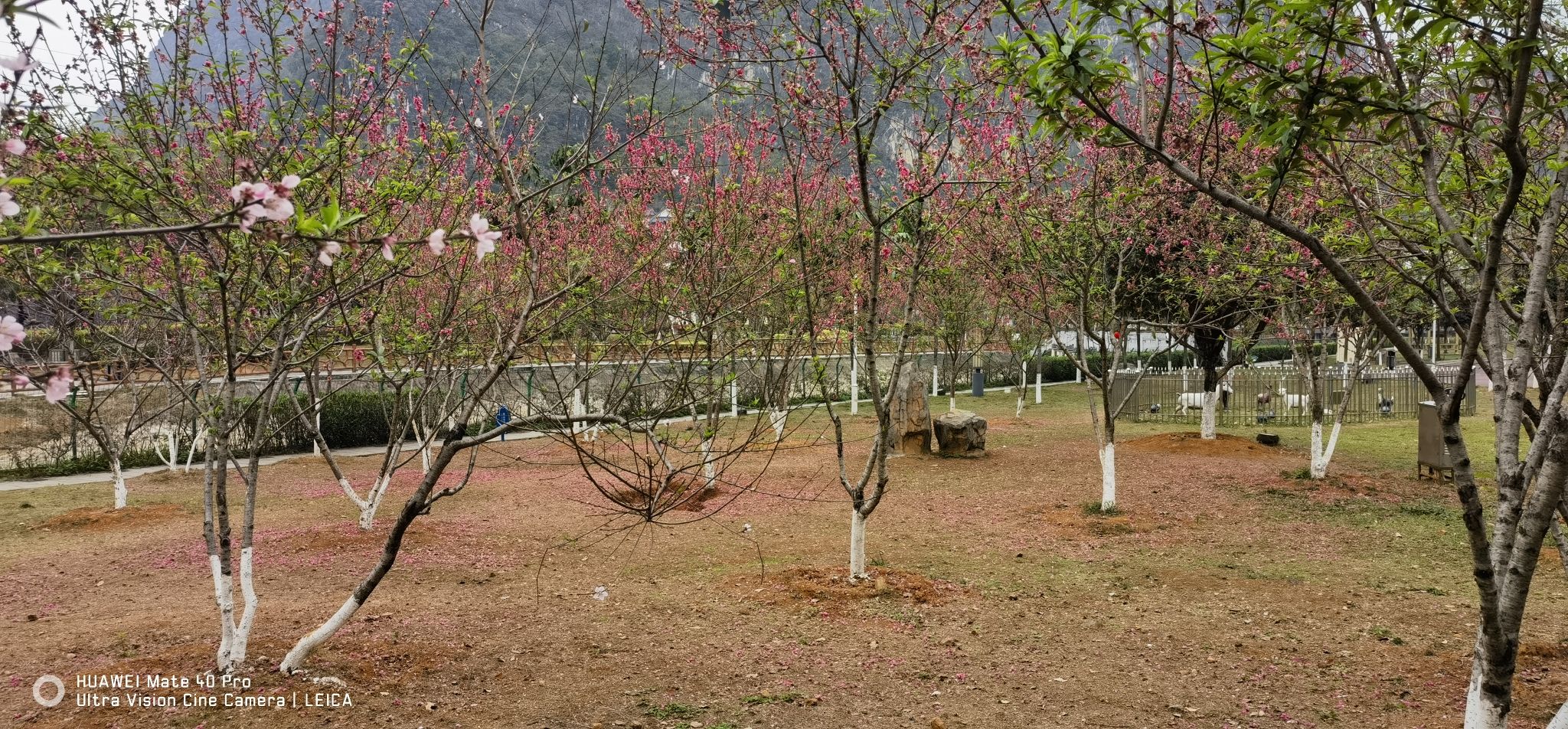 百才公园旅行图片 1