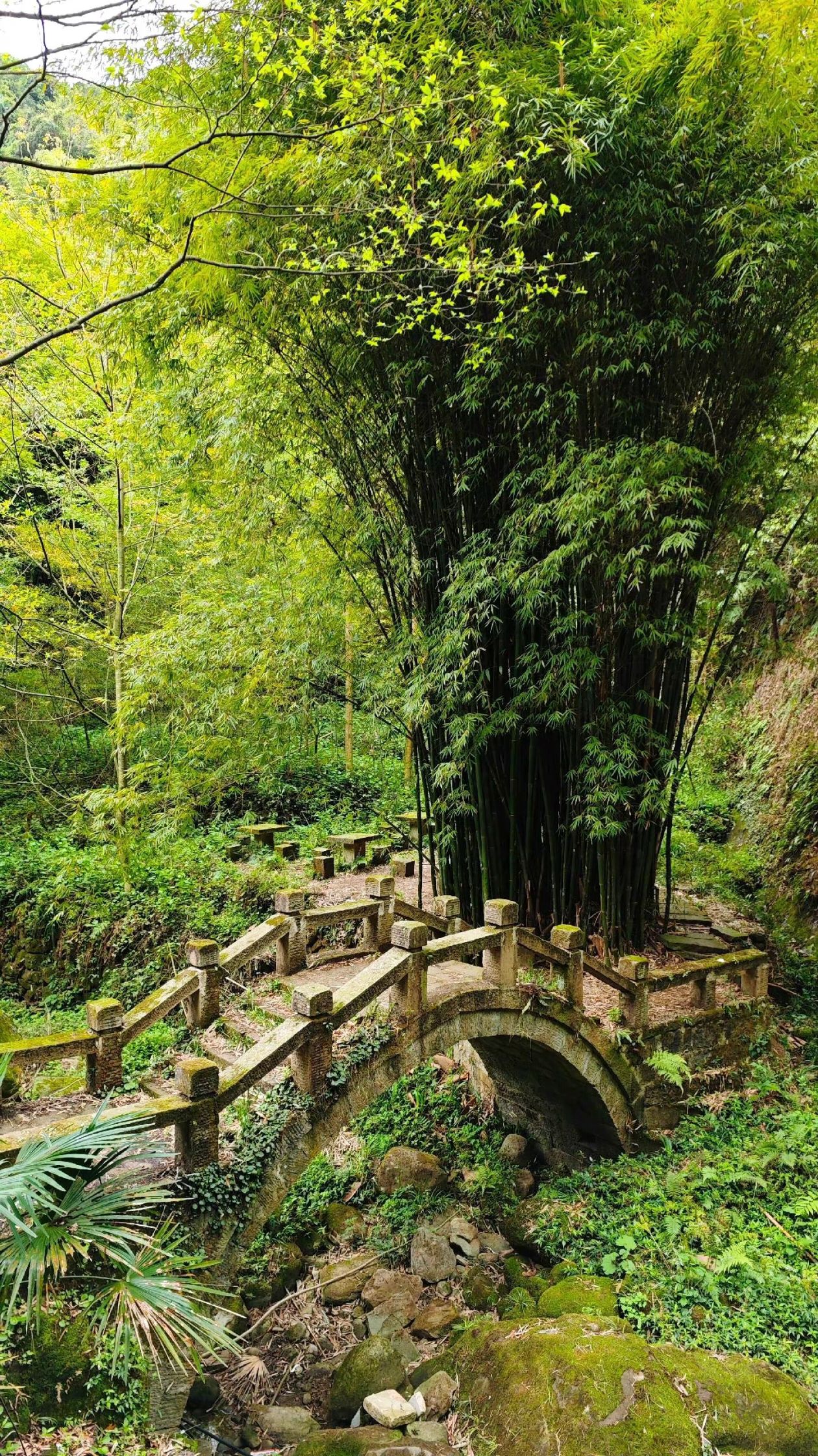 葛仙山风景区旅行图片 3