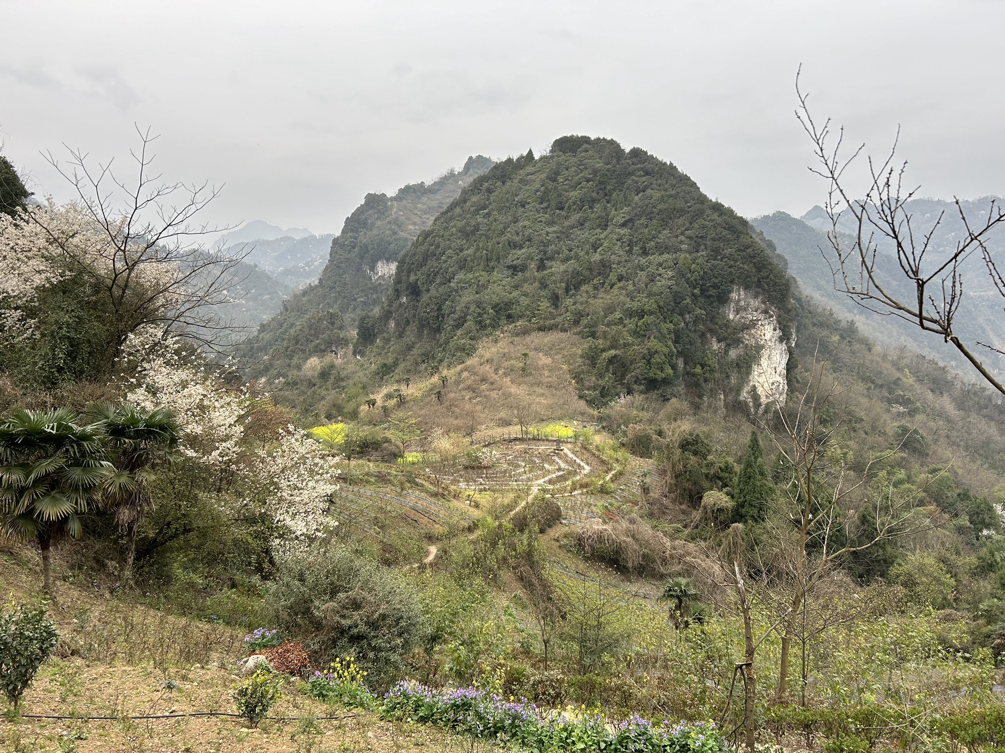 葛仙山风景区旅行图片 1