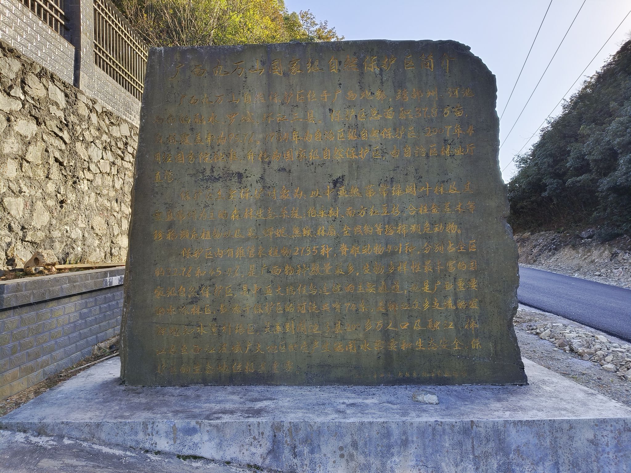 杨梅坳旅行图片 2