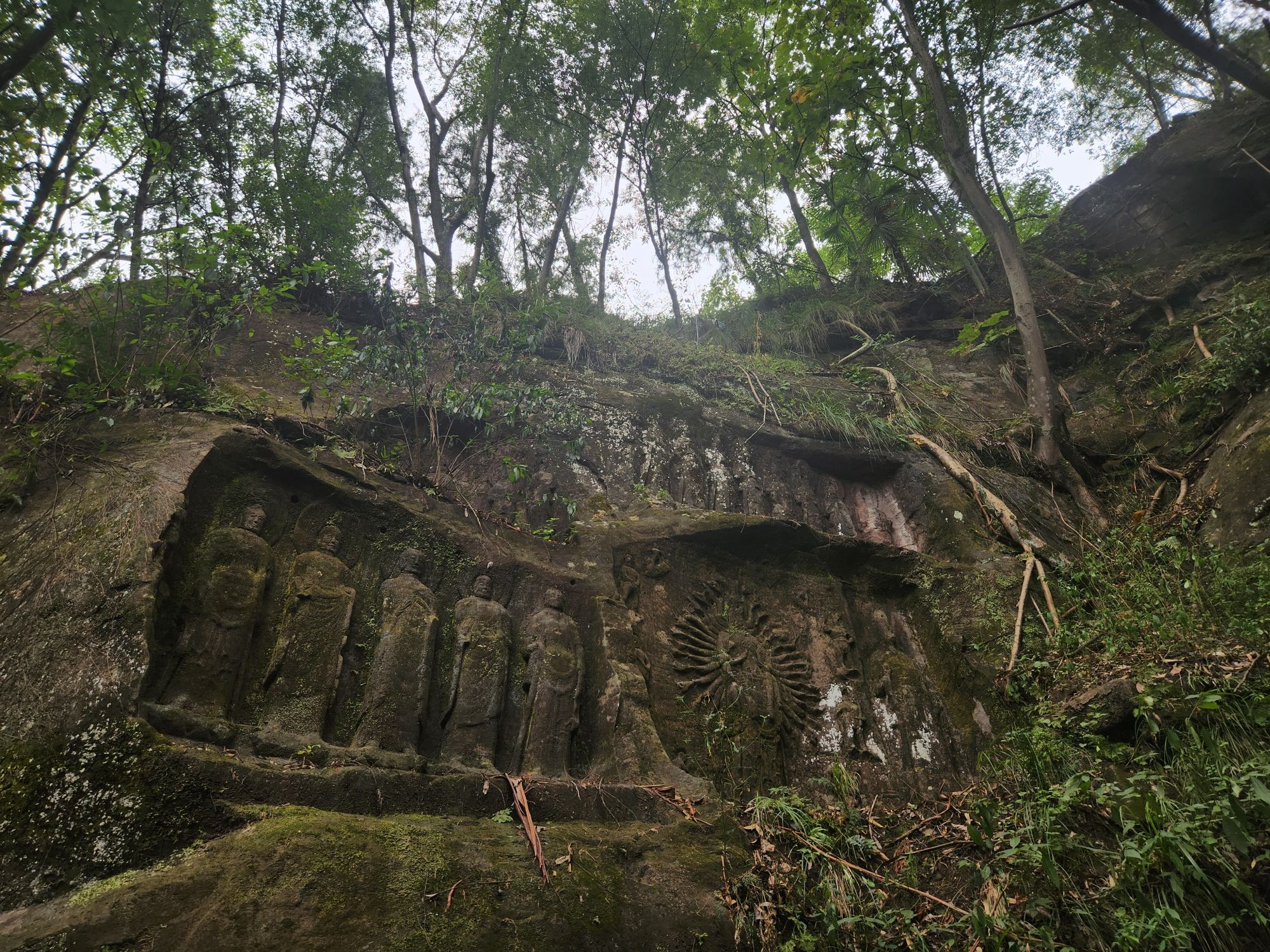 千佛寨森林公园旅行图片 2