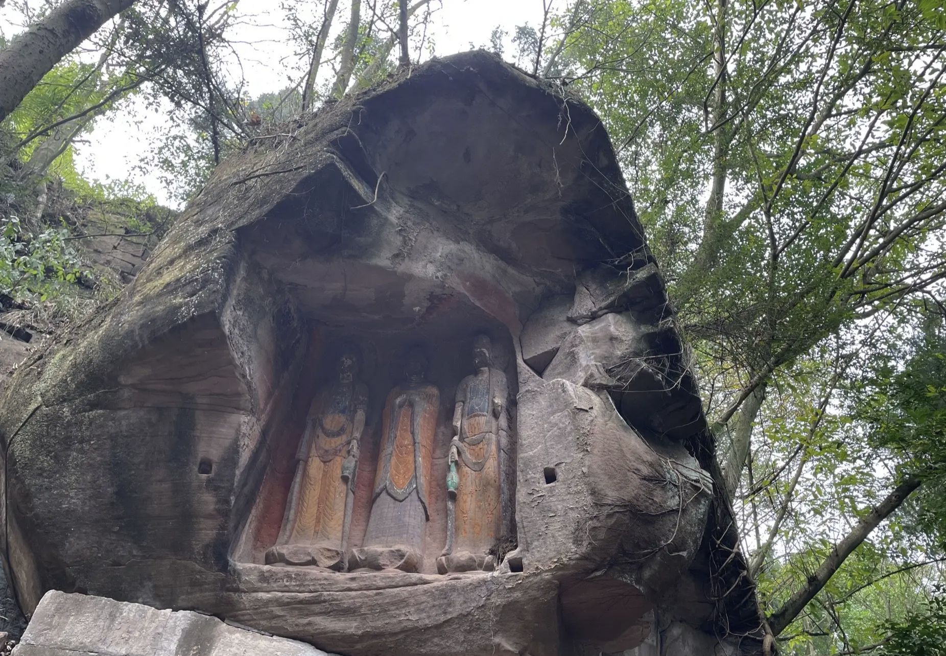 千佛寨森林公园旅行图片 2