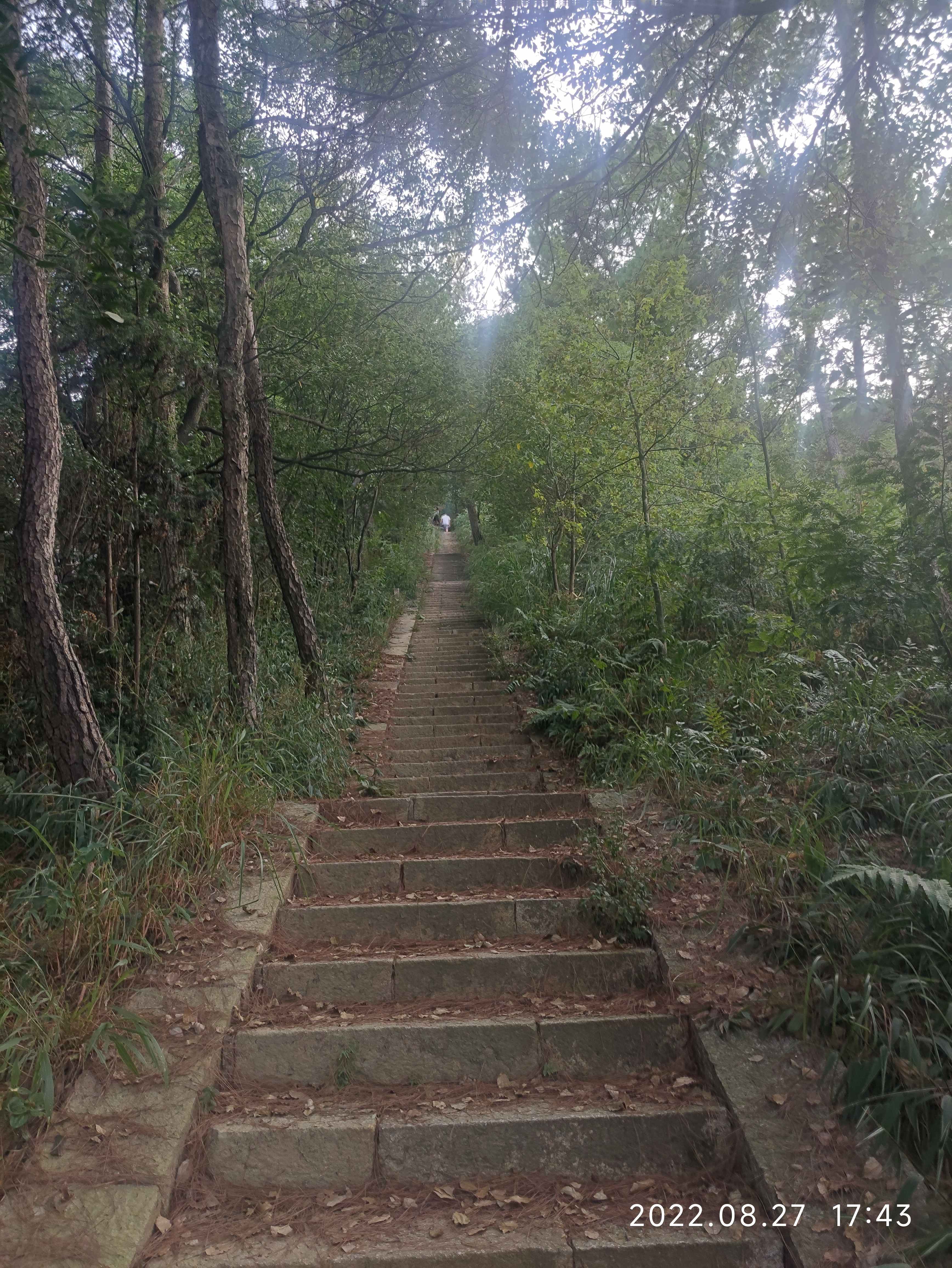 云梯旅行图片 3