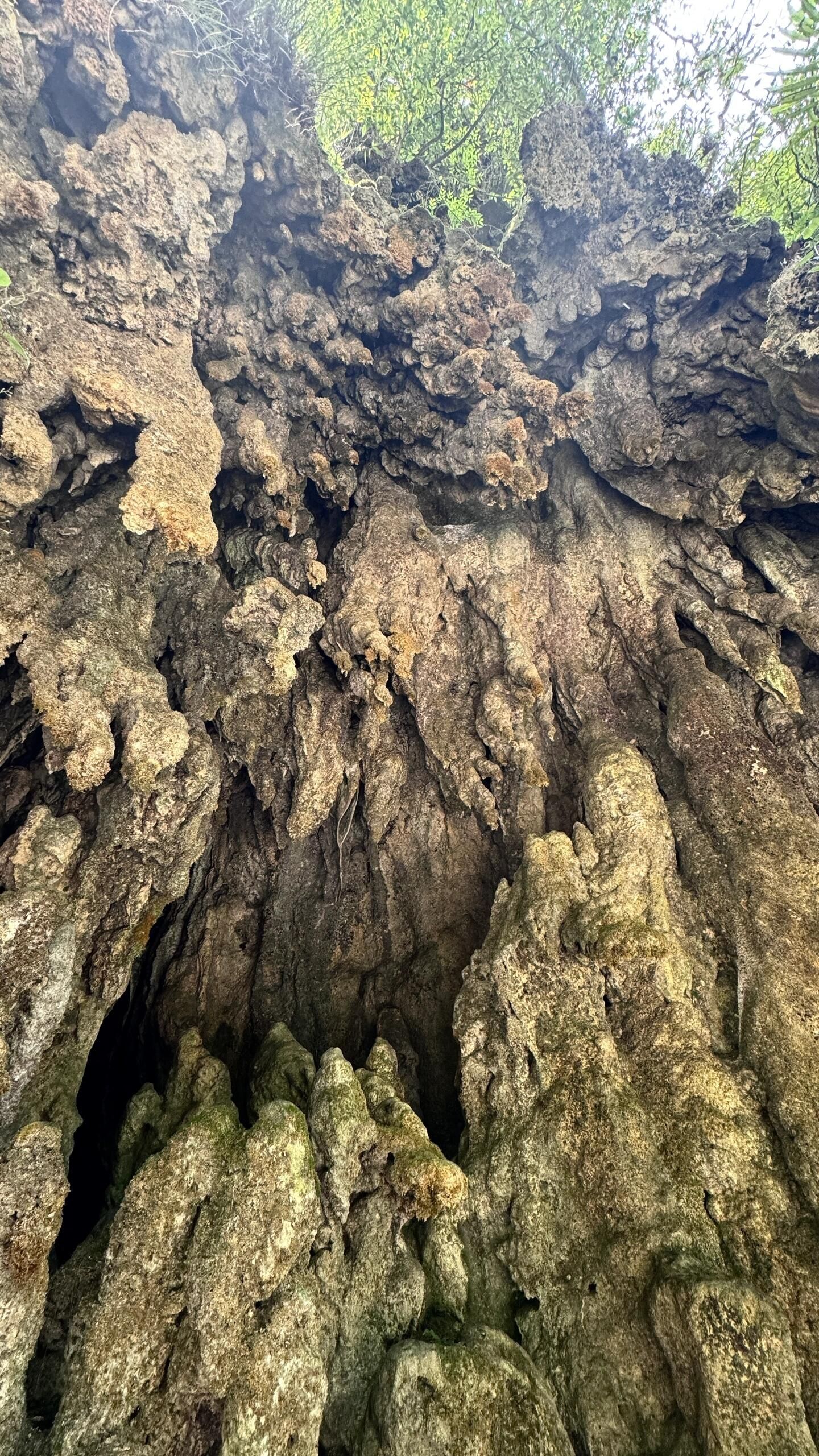 清溪峡景区旅行图片 2