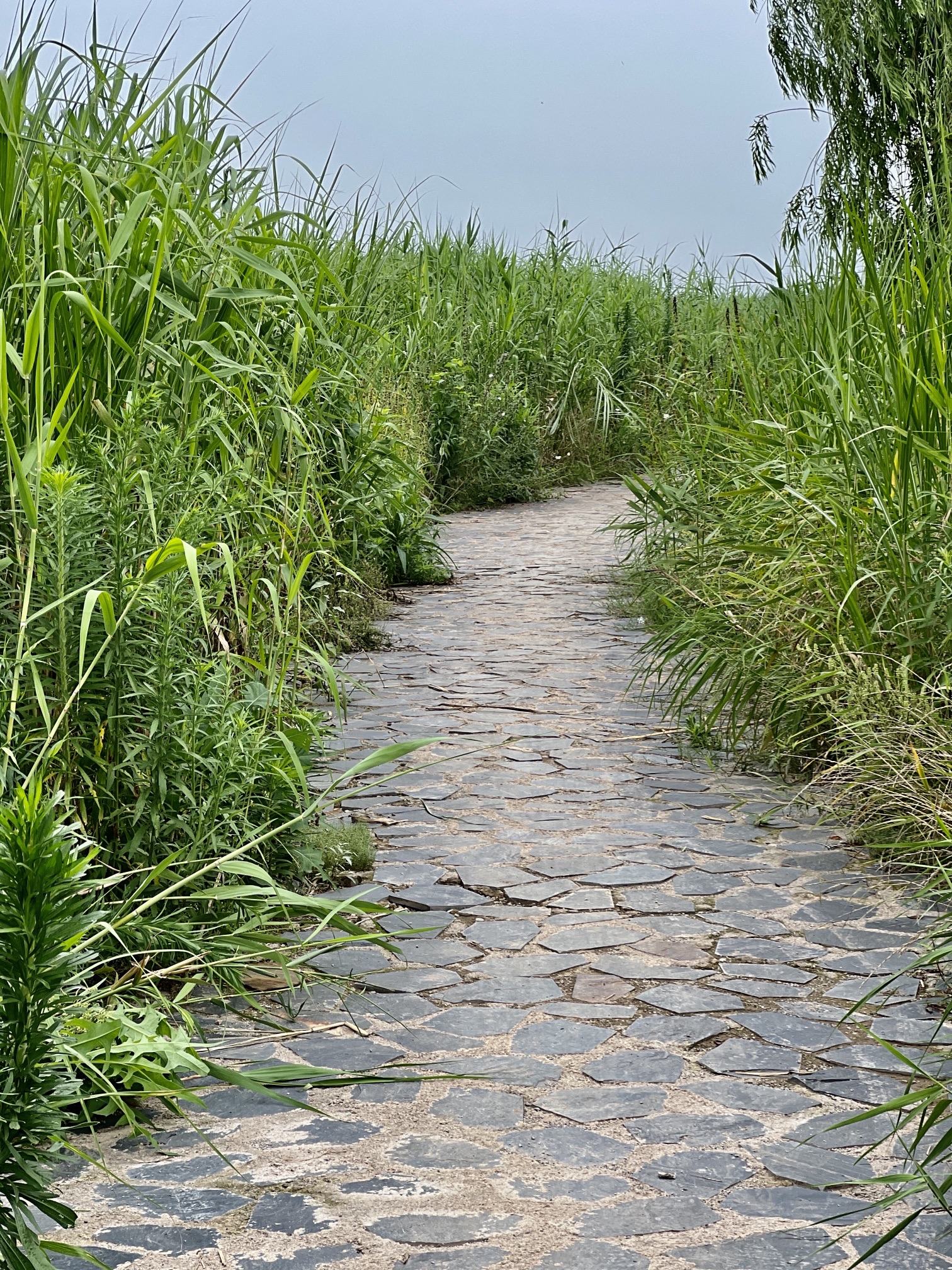 监利滨江公园