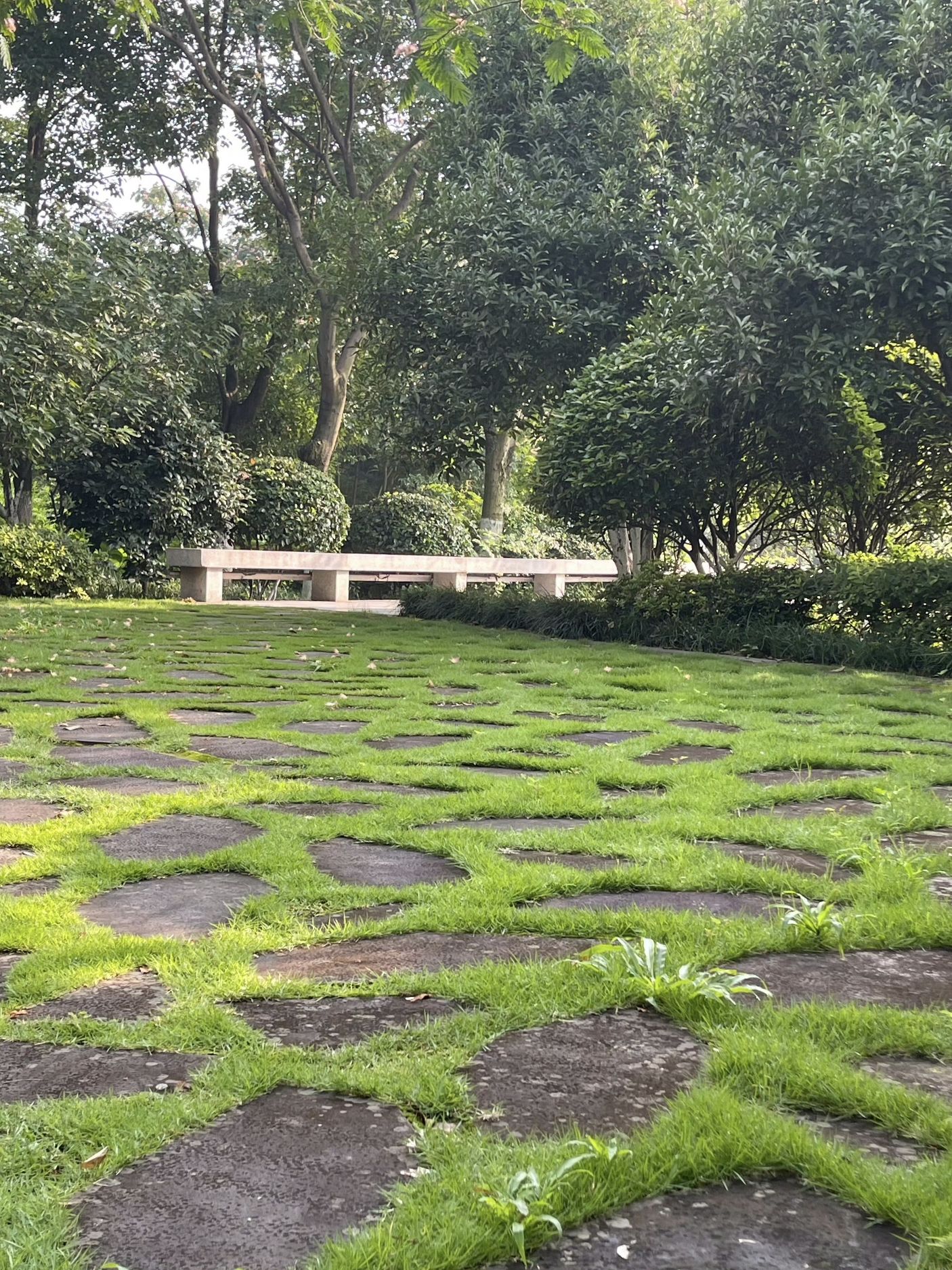 陆羽公园旅行图片 3