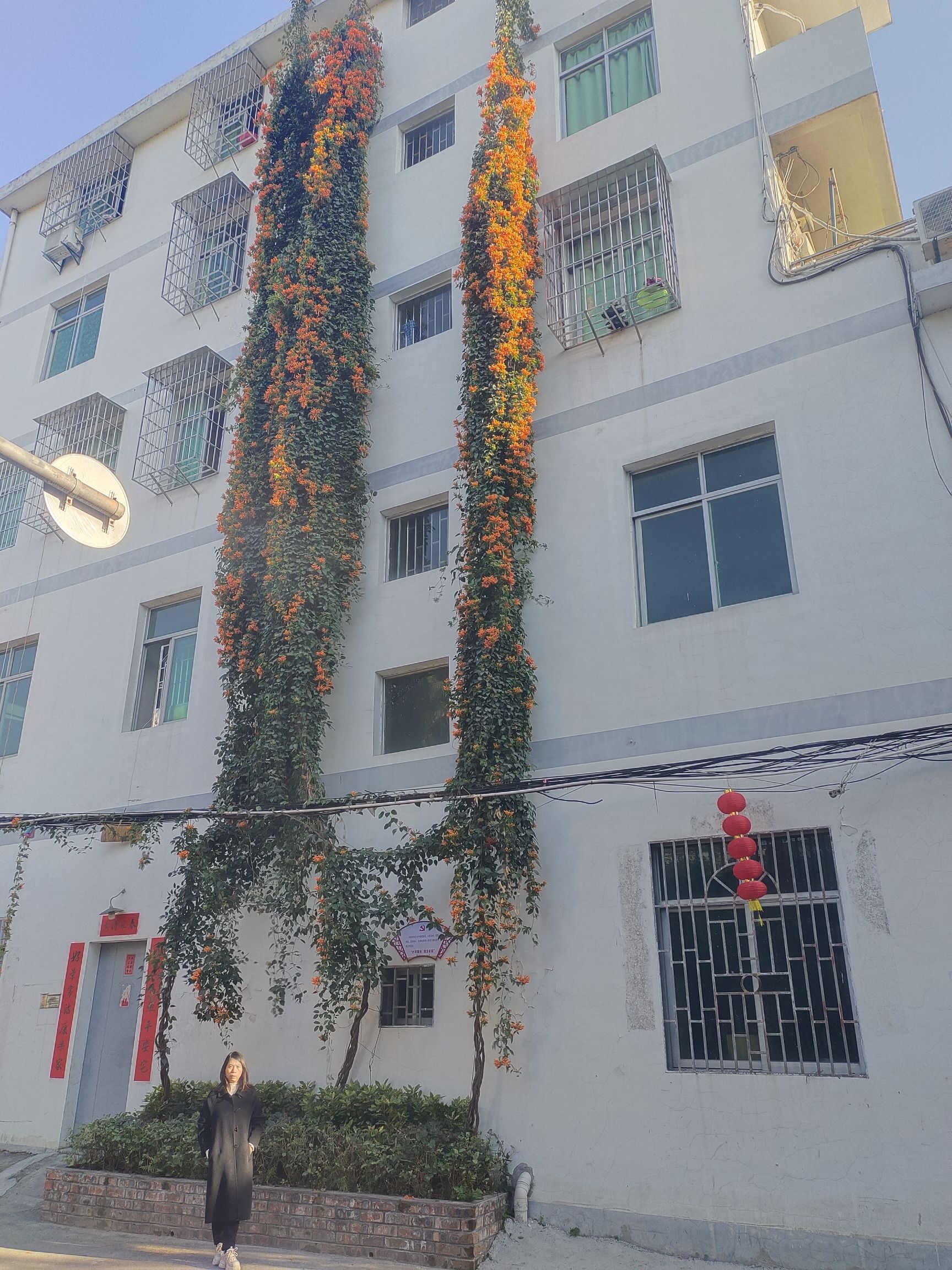 濂江书院旅行图片 1
