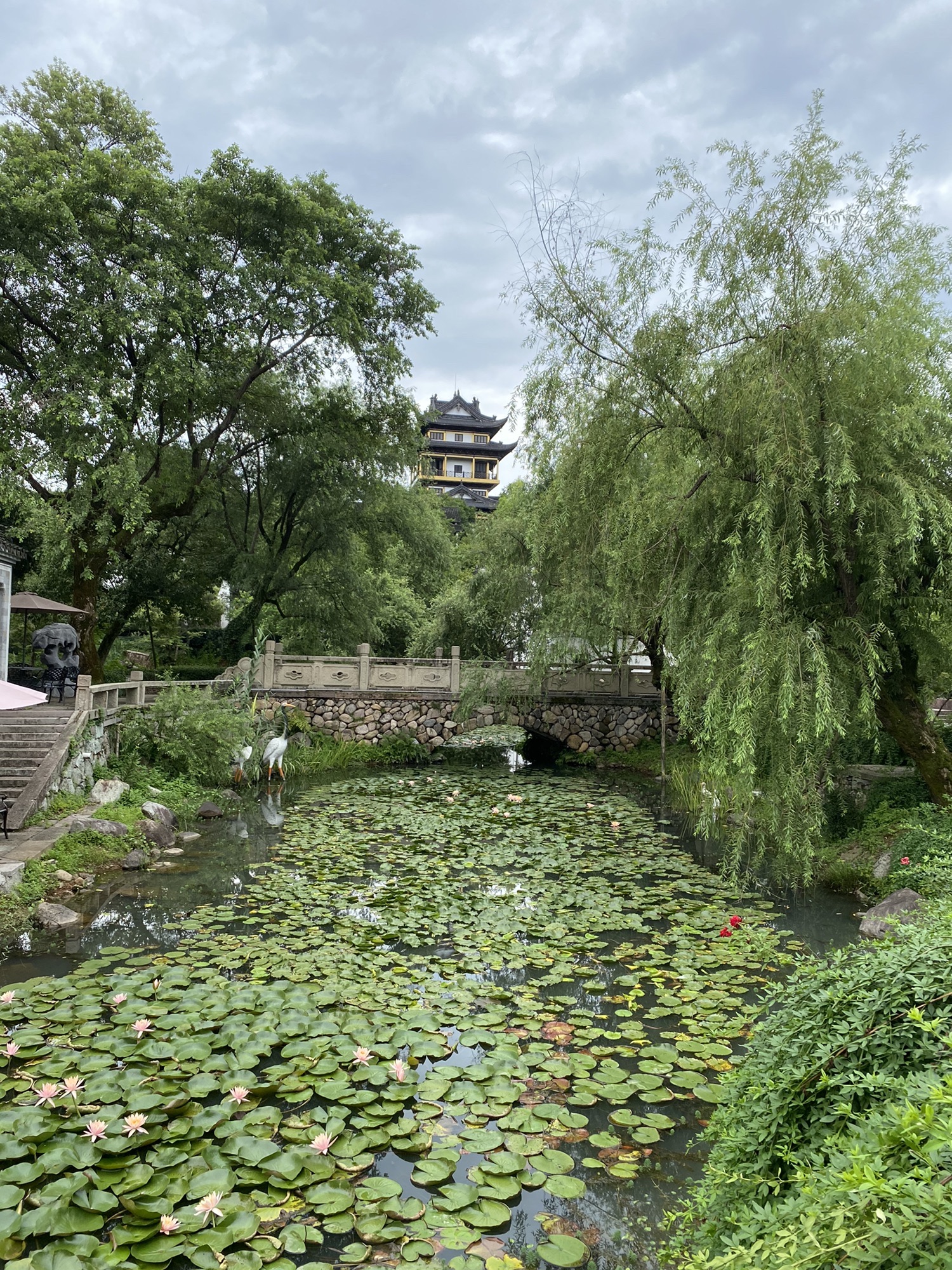 璟园旅行图片 1