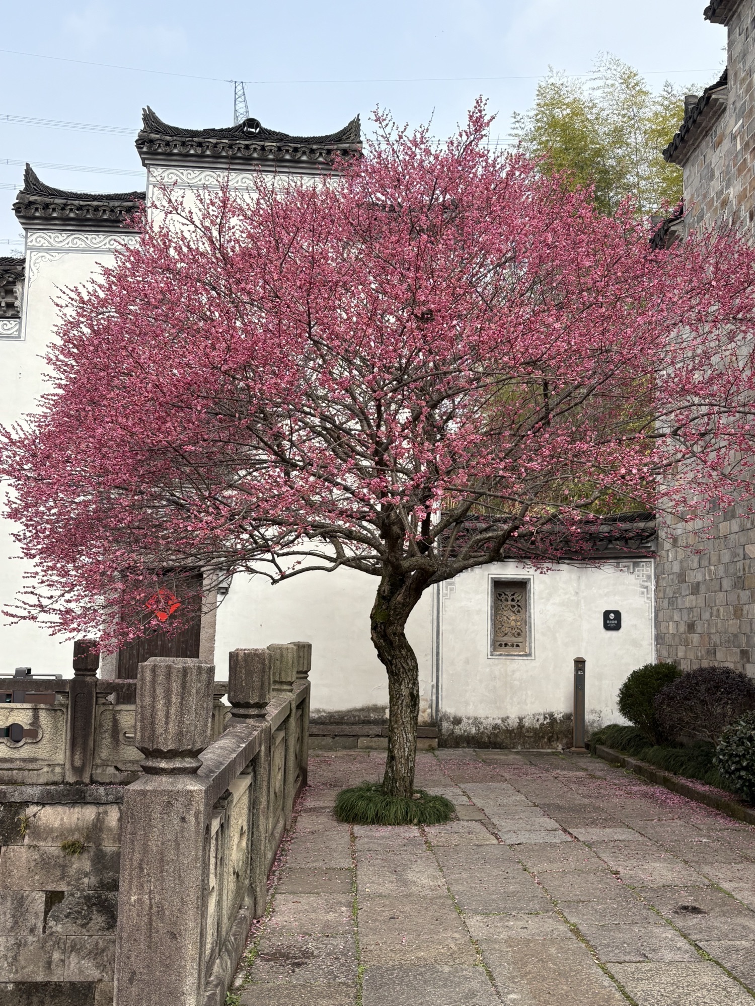 璟园