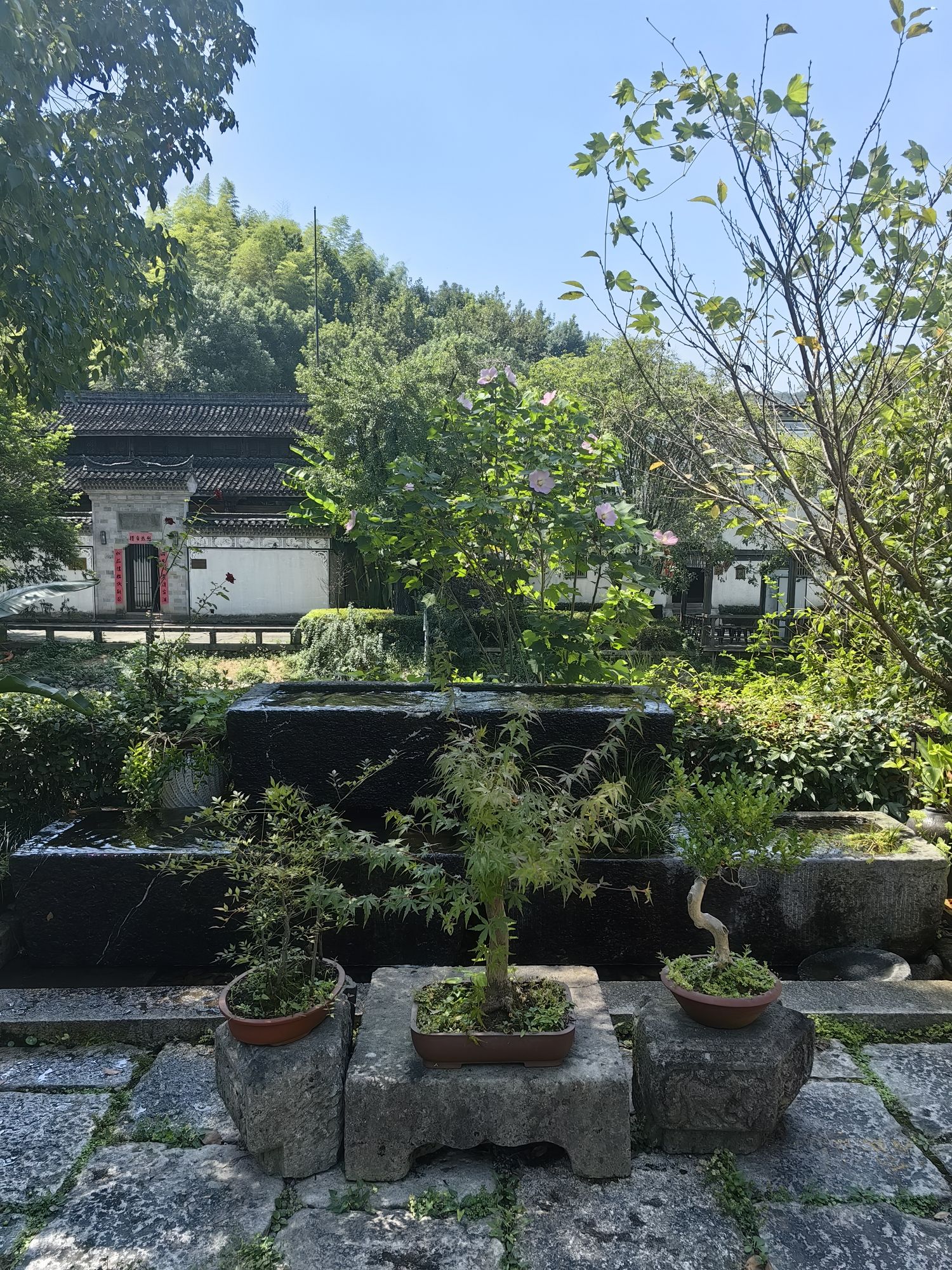 璟园旅行图片 1