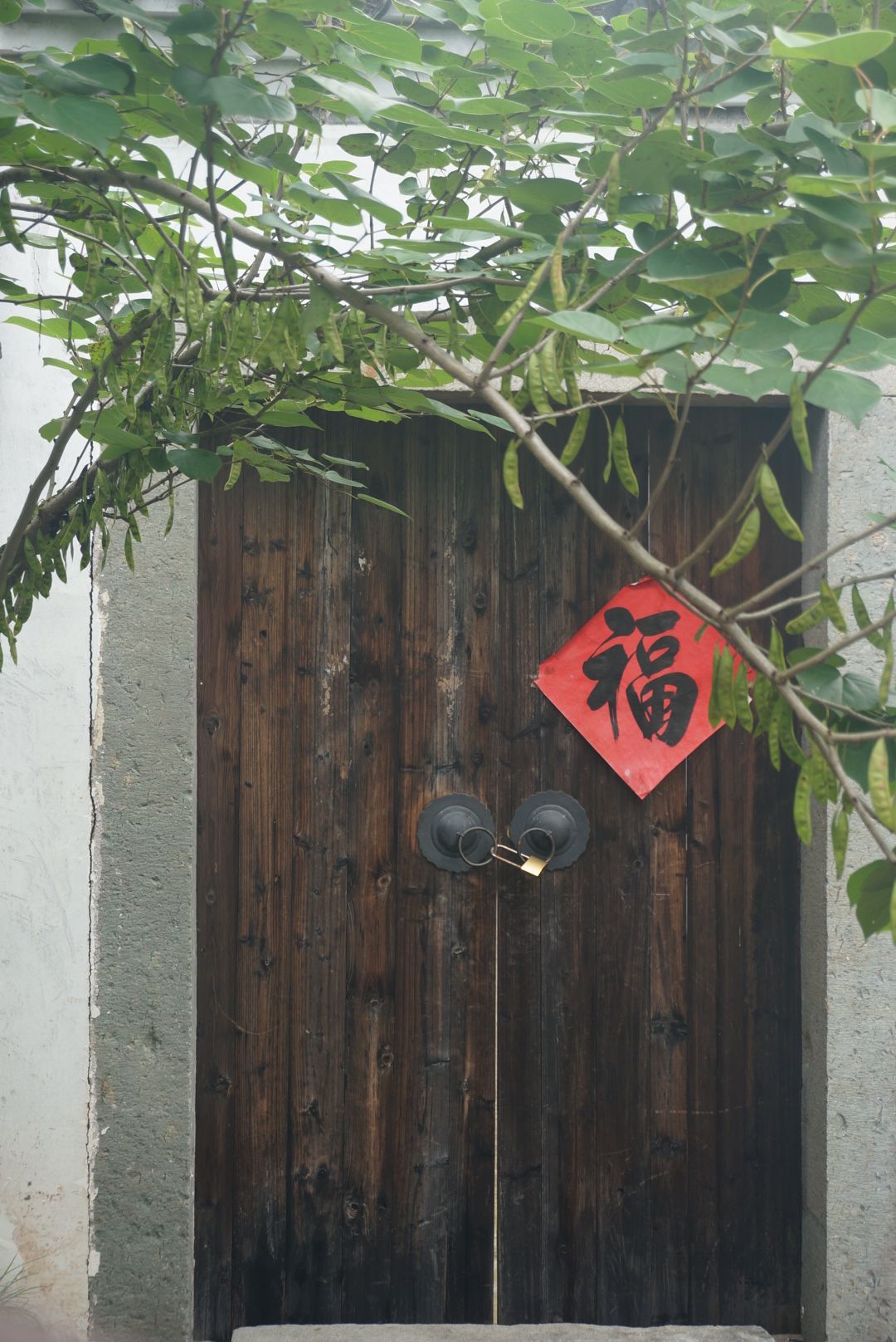 璟园旅行图片 3
