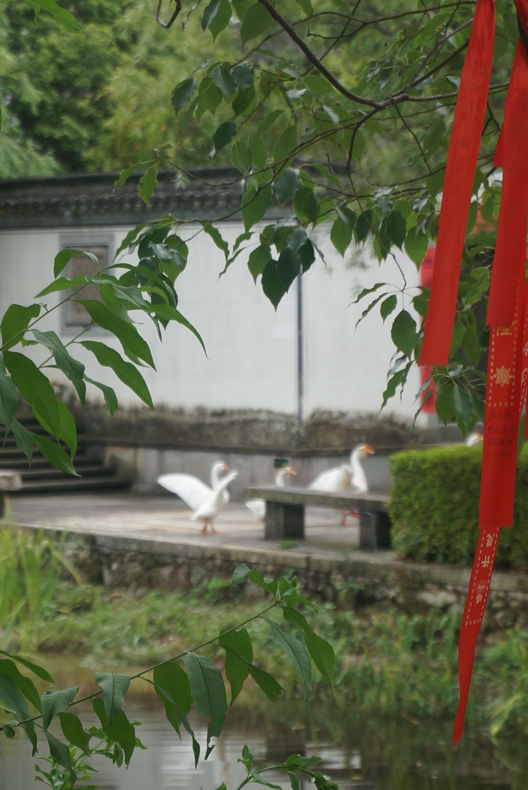 璟园旅行图片 2