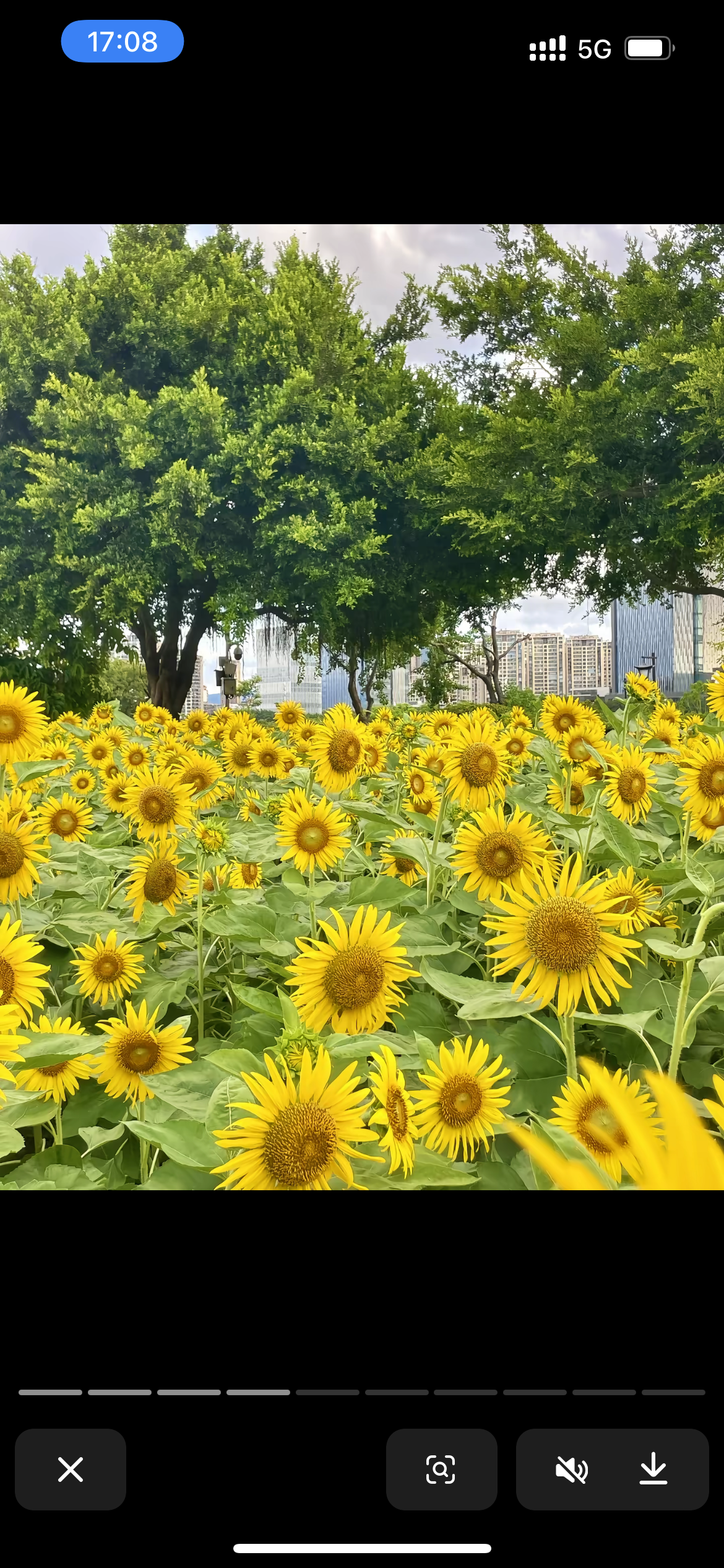 福州花海公园旅行图片 3
