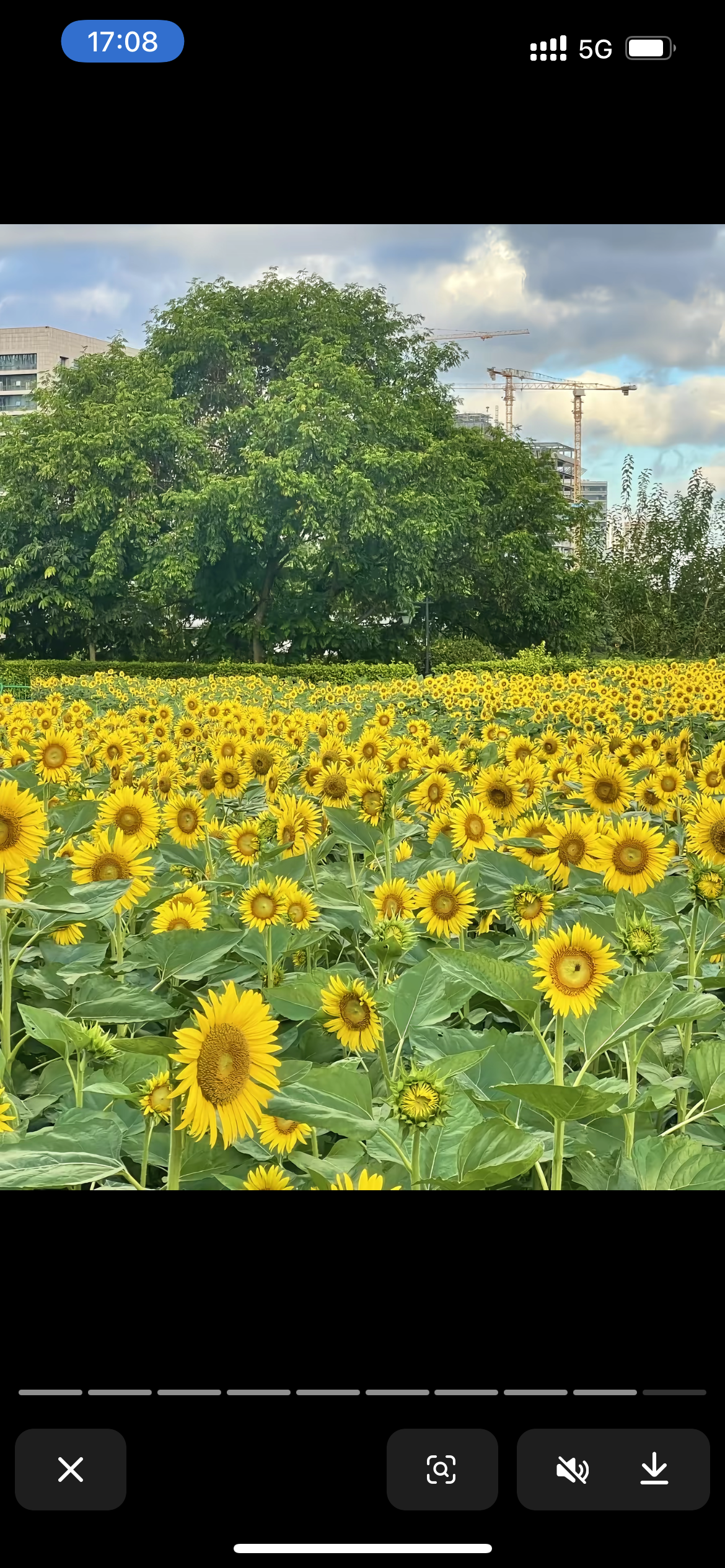 福州花海公园旅行图片 1