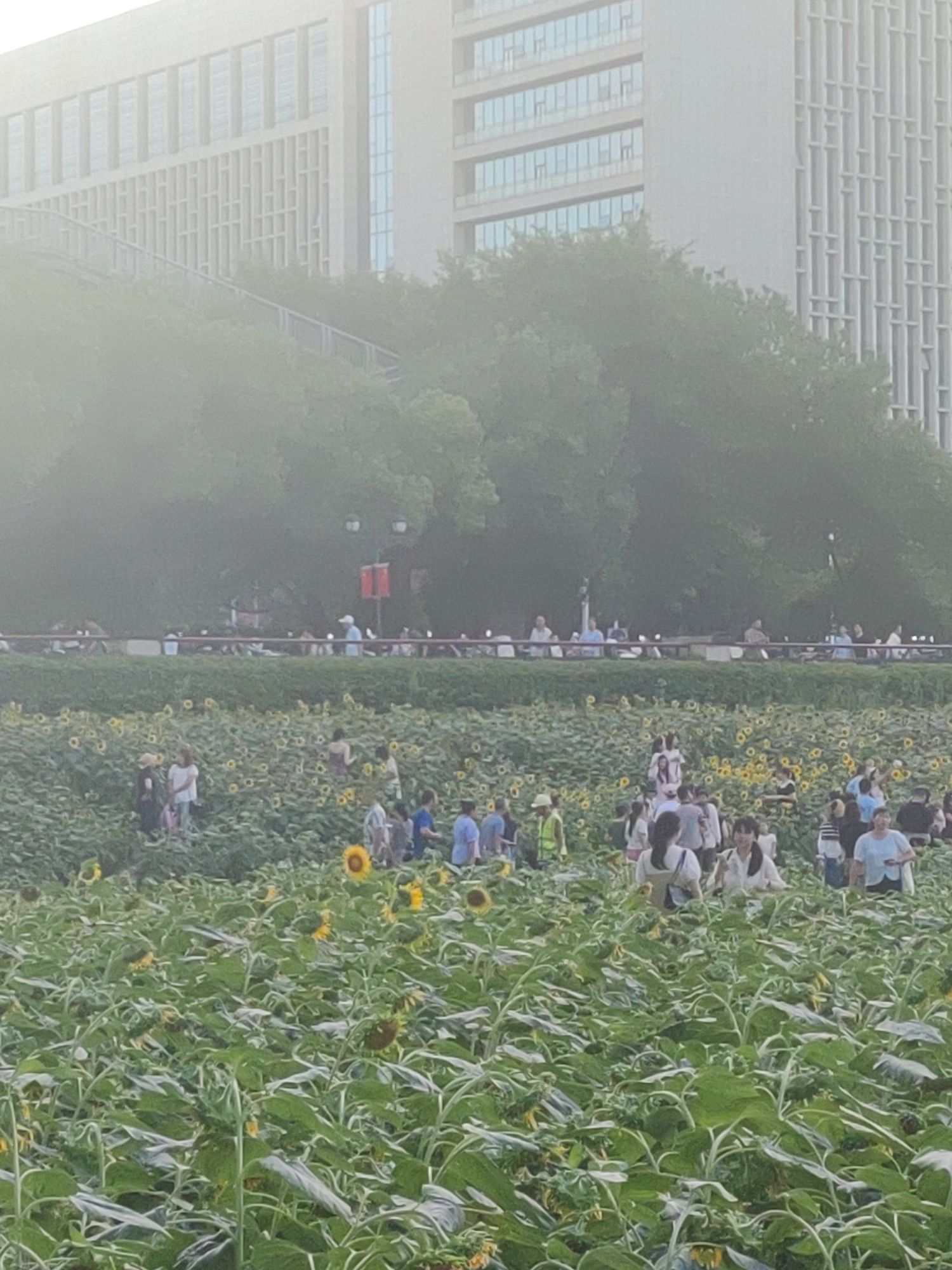福州花海公园旅行图片 3