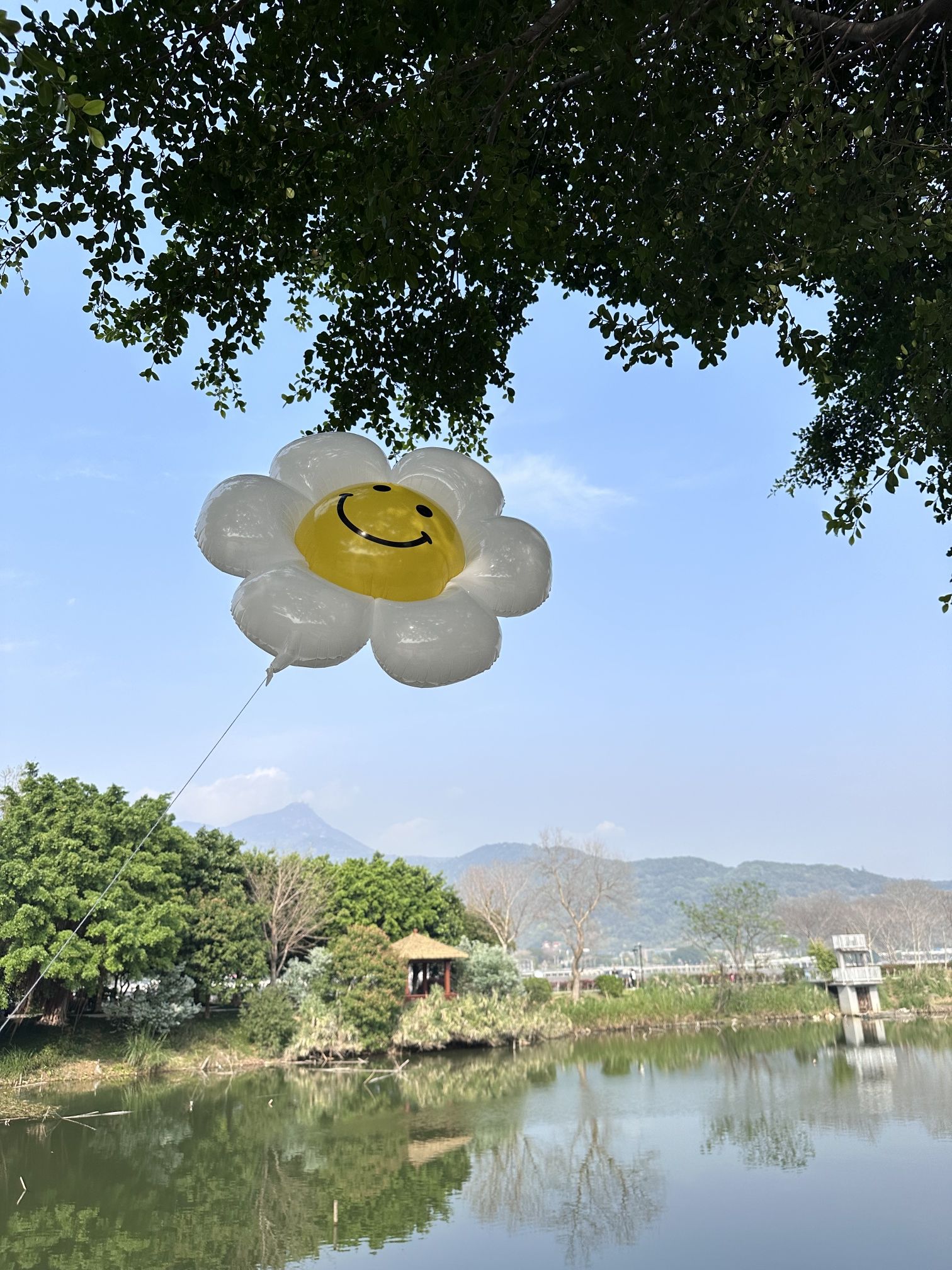 福州花海公园旅行图片 1