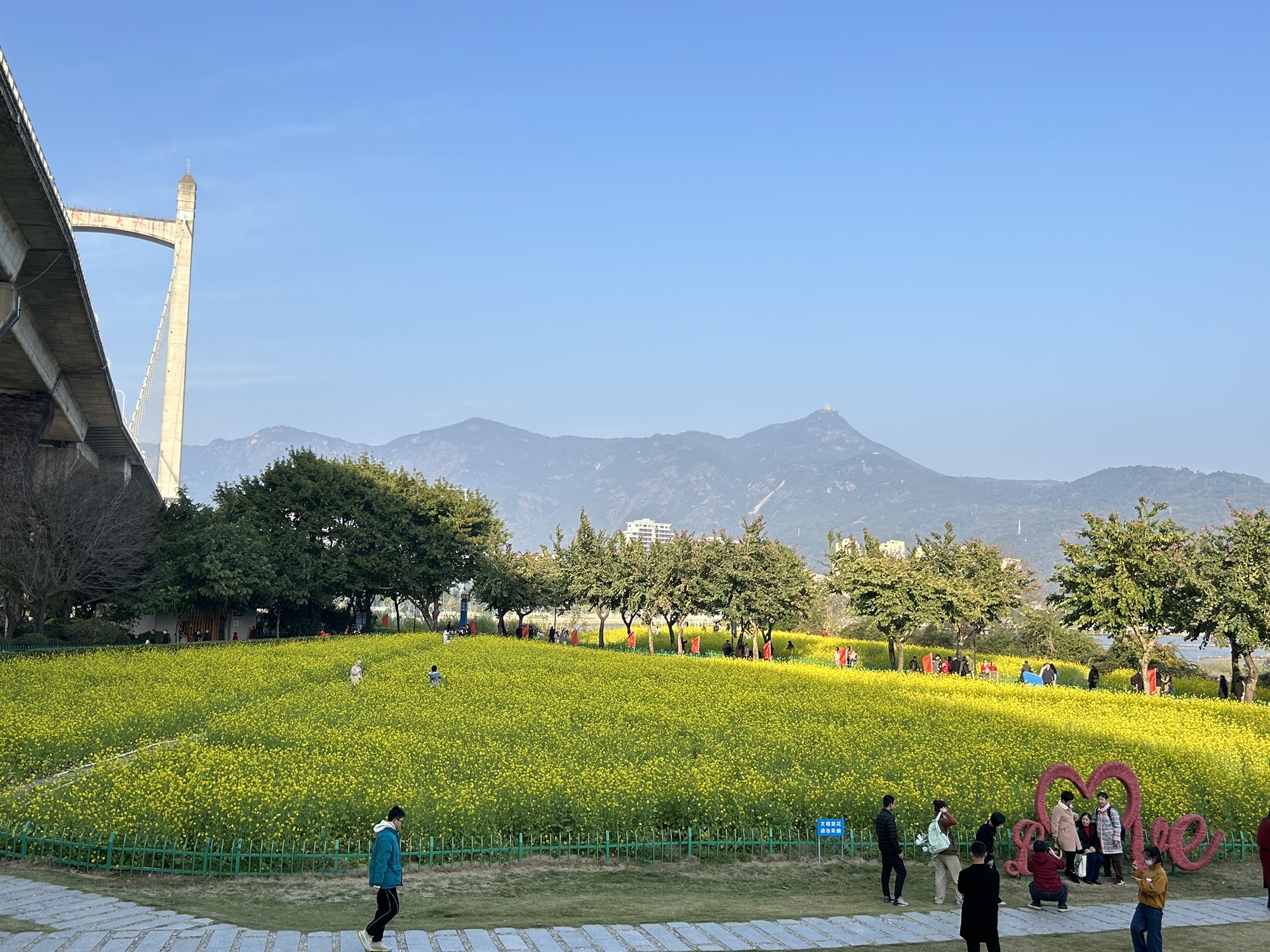 福州花海公园旅行图片 2