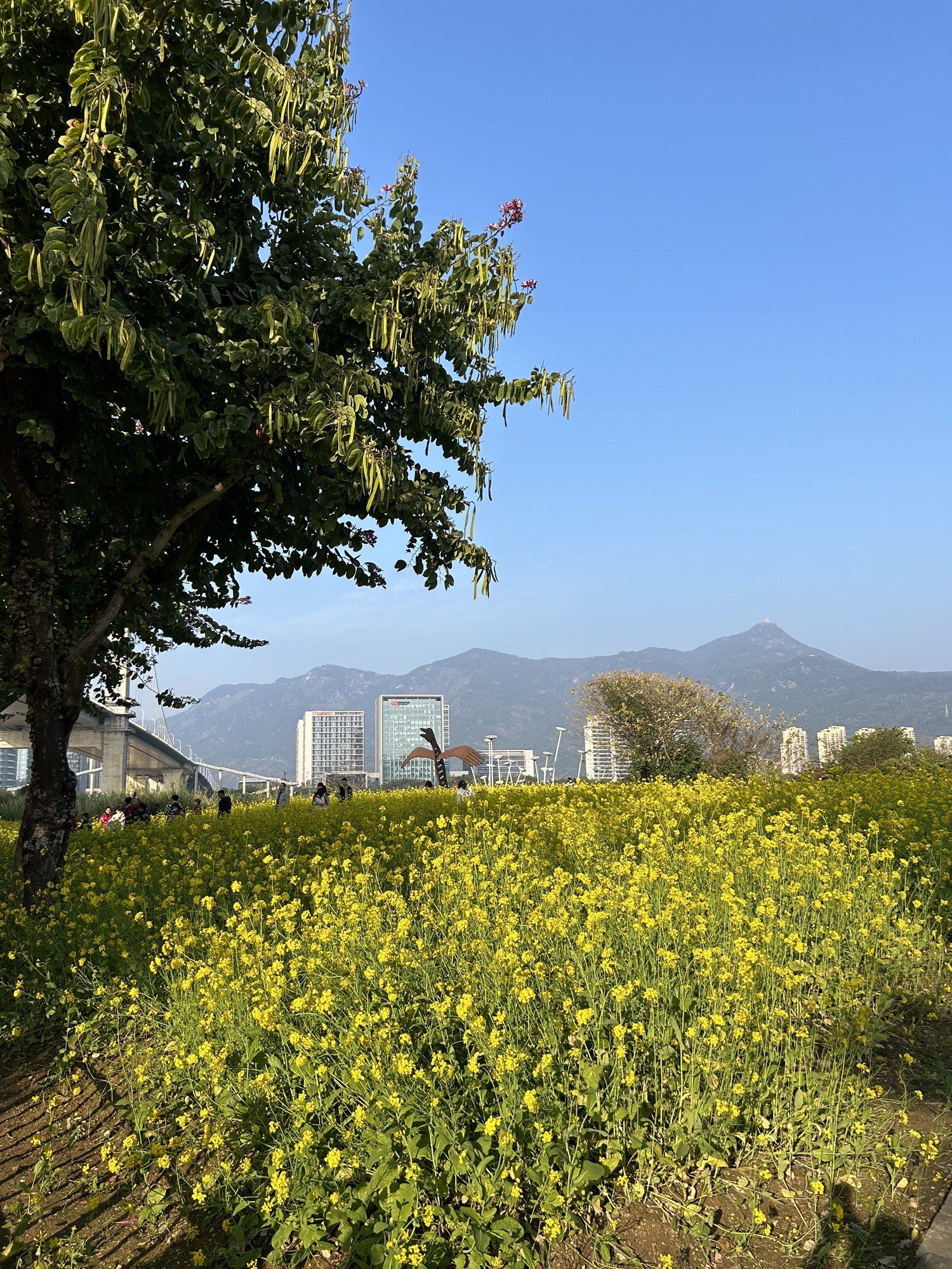 福州花海公园旅行图片 1