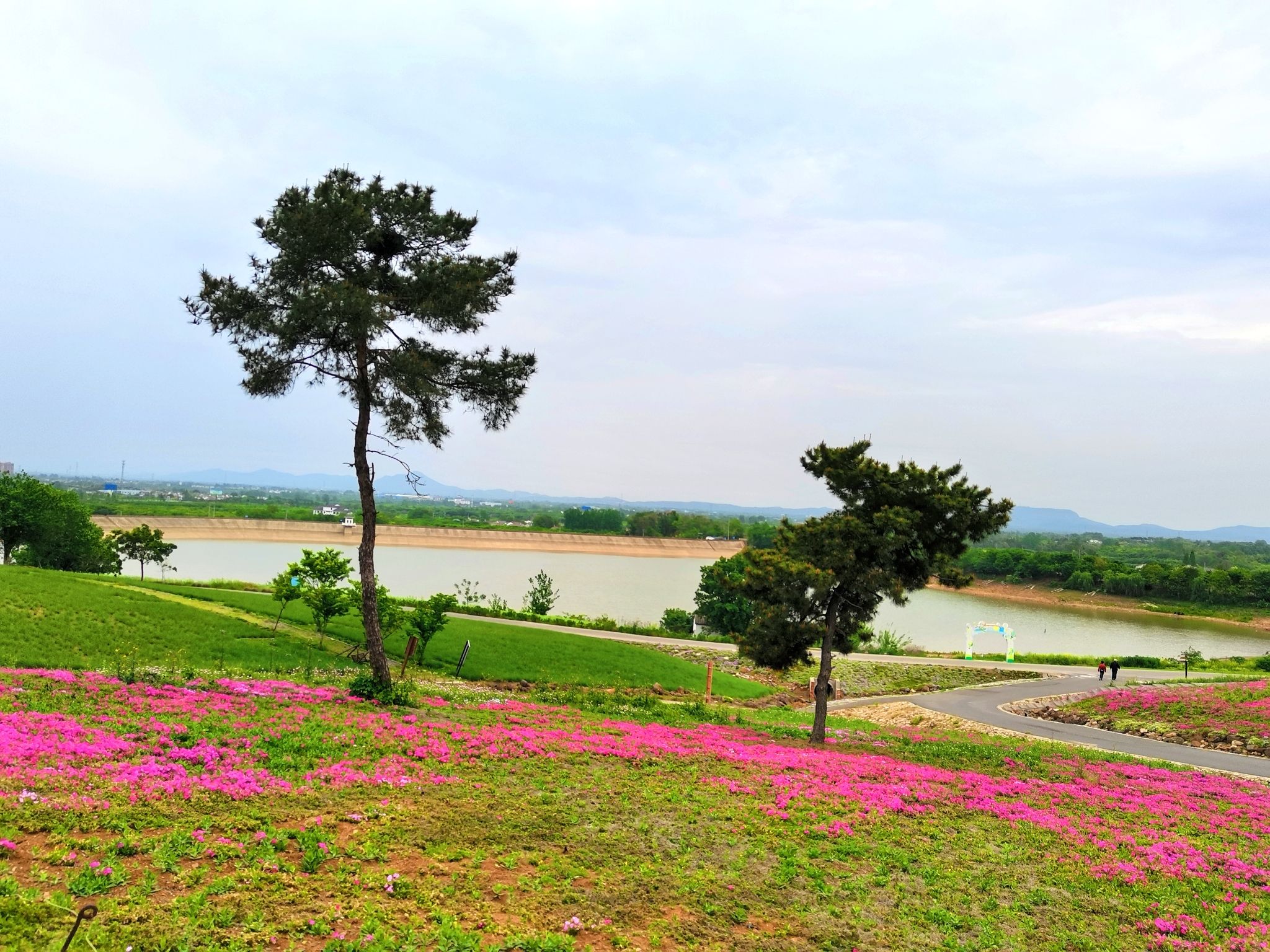 芝樱小镇旅行图片 2
