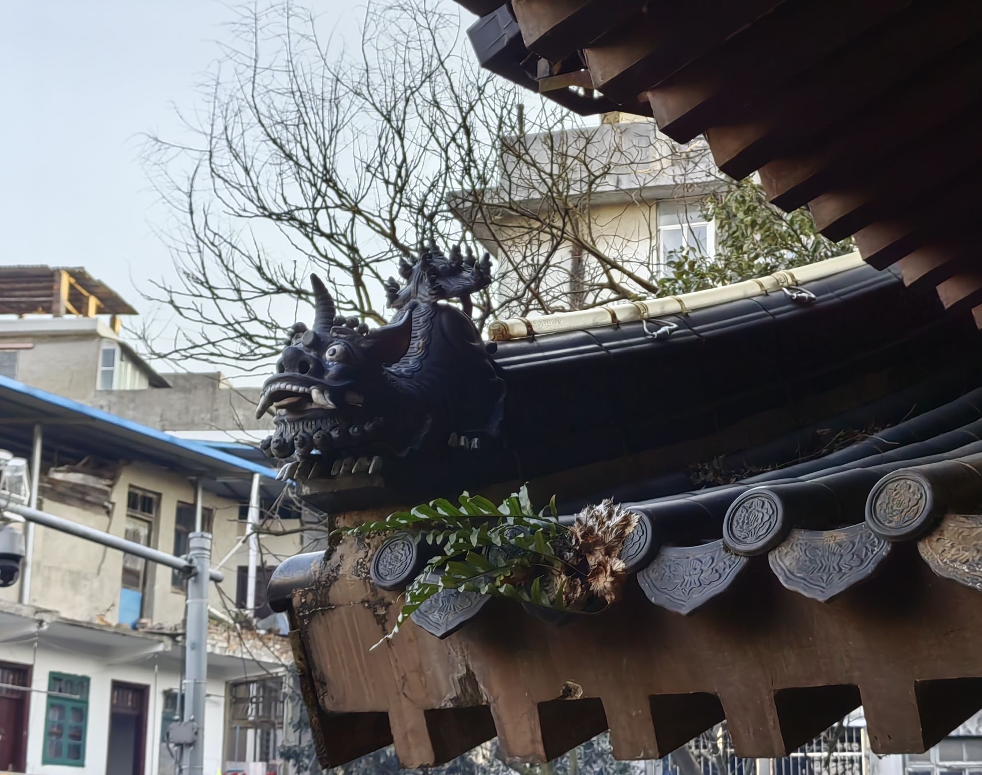 灵渠水街旅行图片 2
