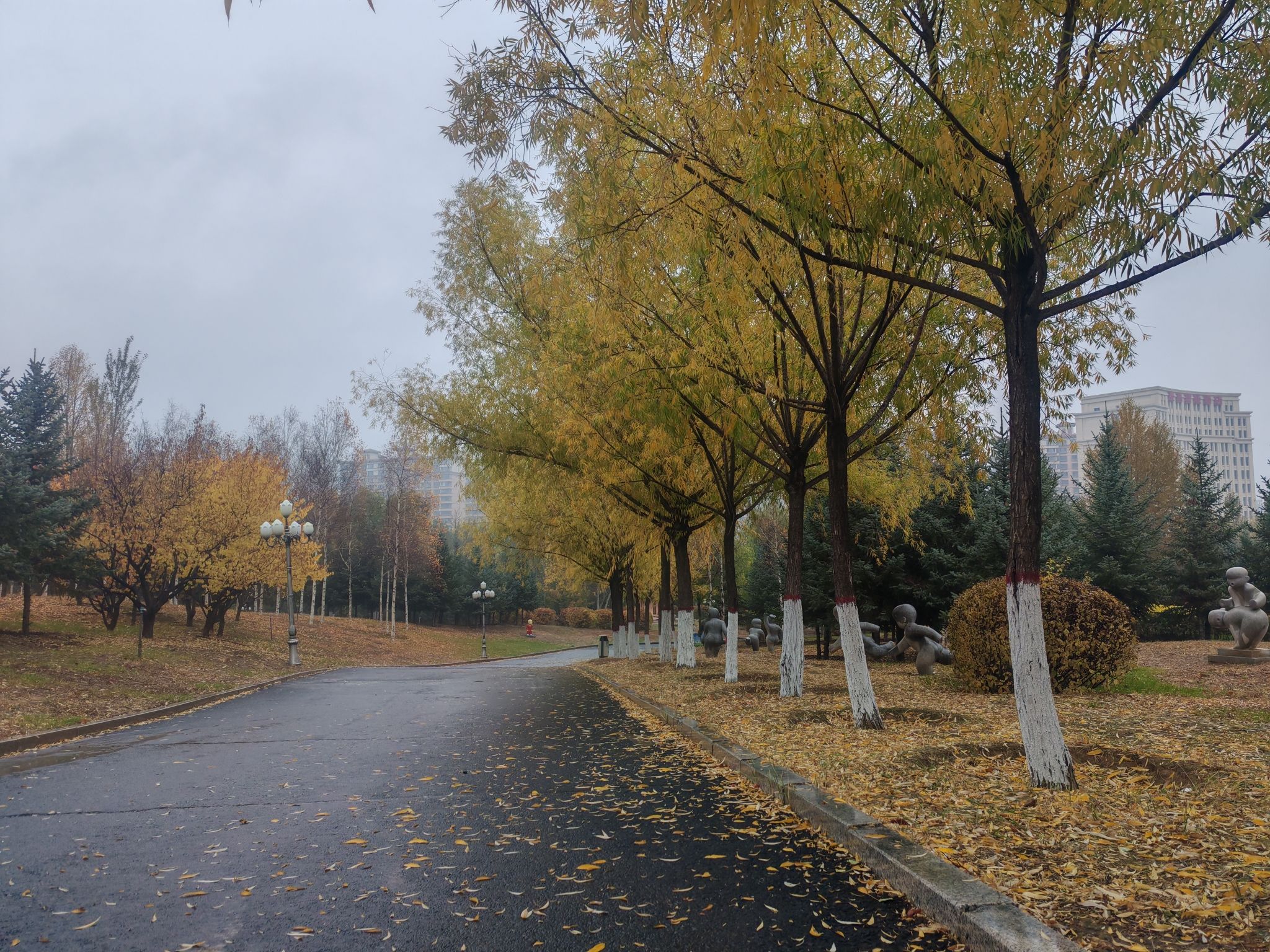 时代公园旅行图片 2