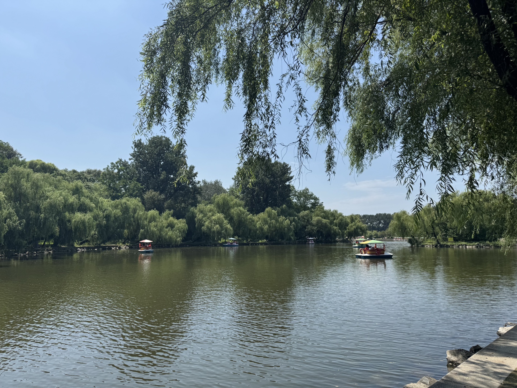 鞍山市二一九公园手划船
