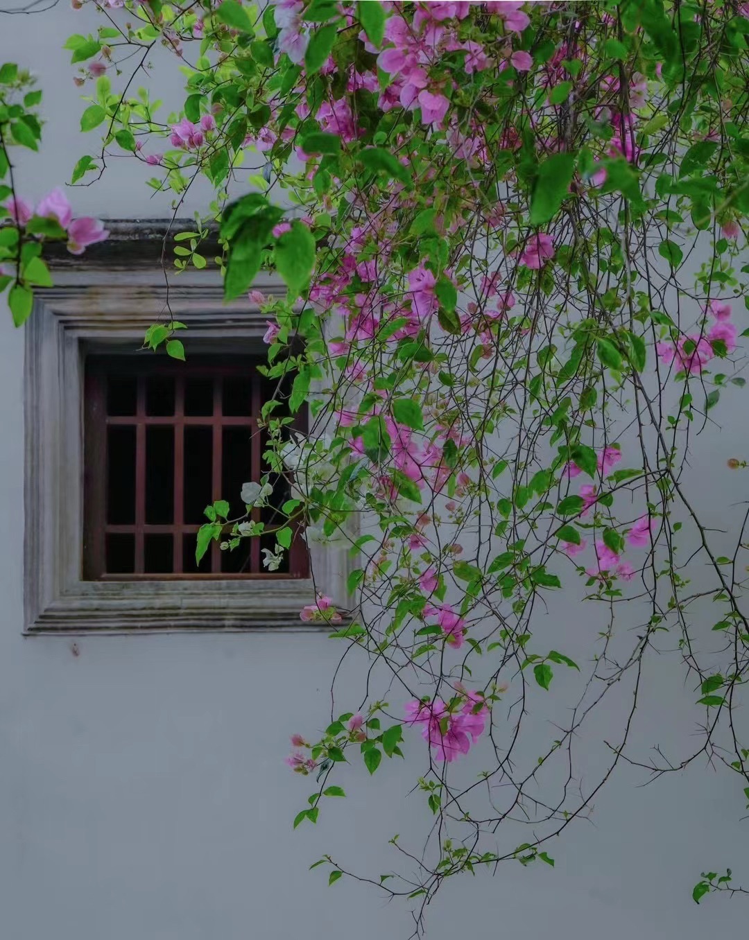 丽水市实验幼儿园教育集团阳光园