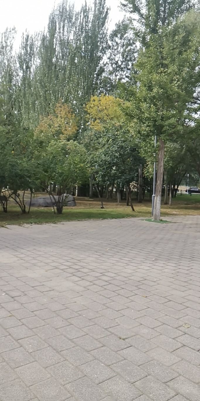 中国·延庆世界地质公园旅行图片 1