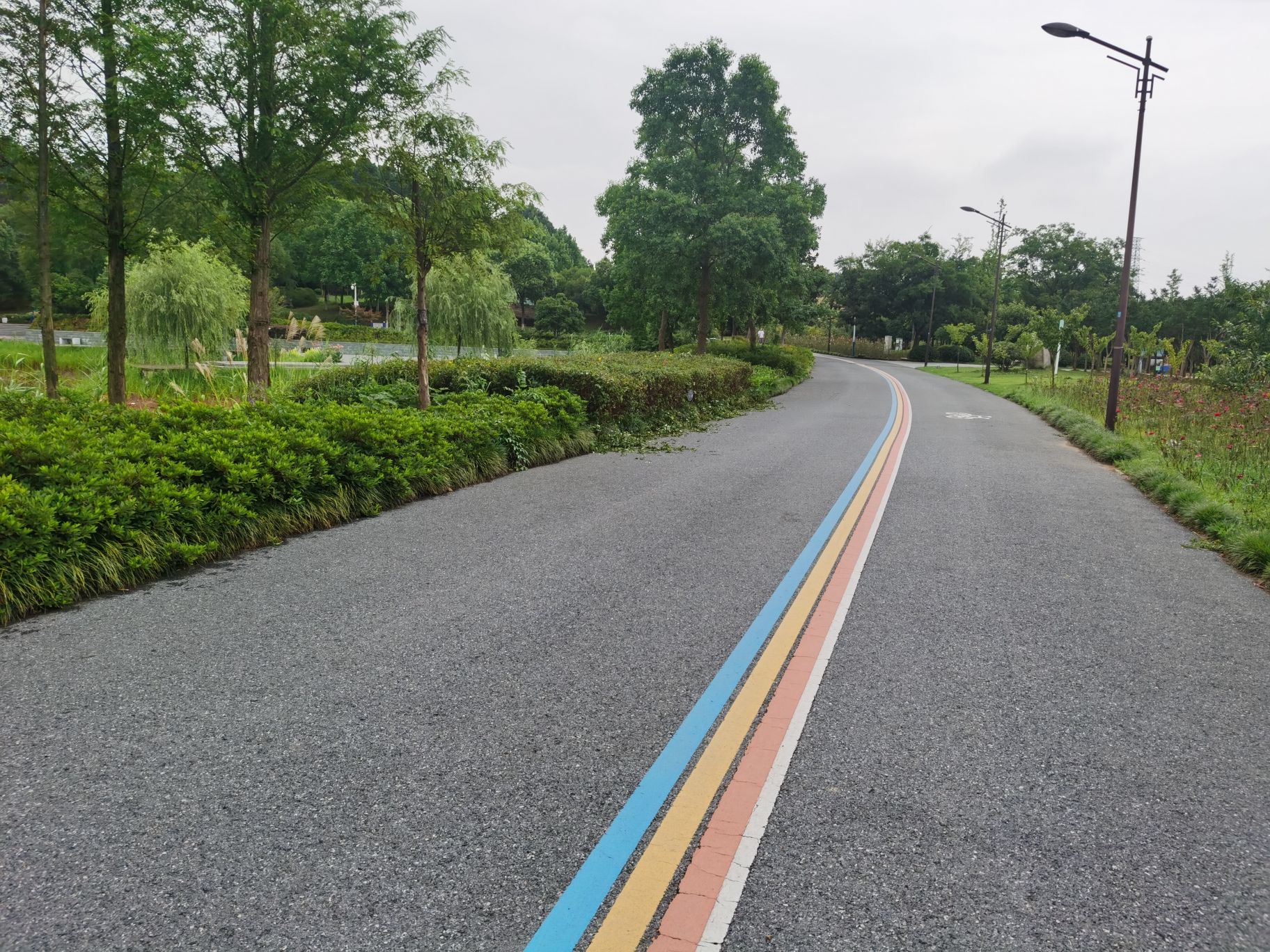 宣城植物园旅行图片 3