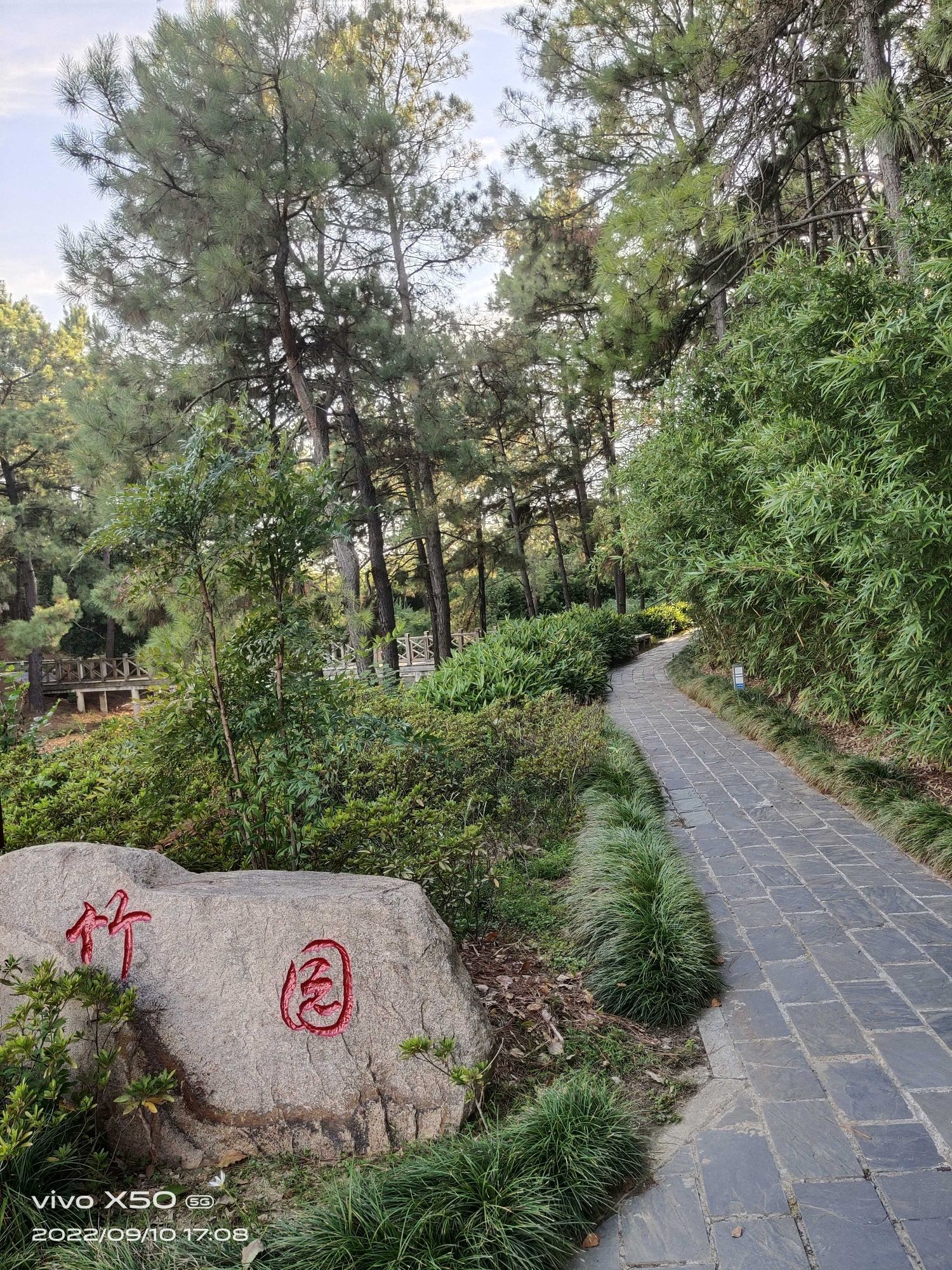 宣城植物园旅行图片 3