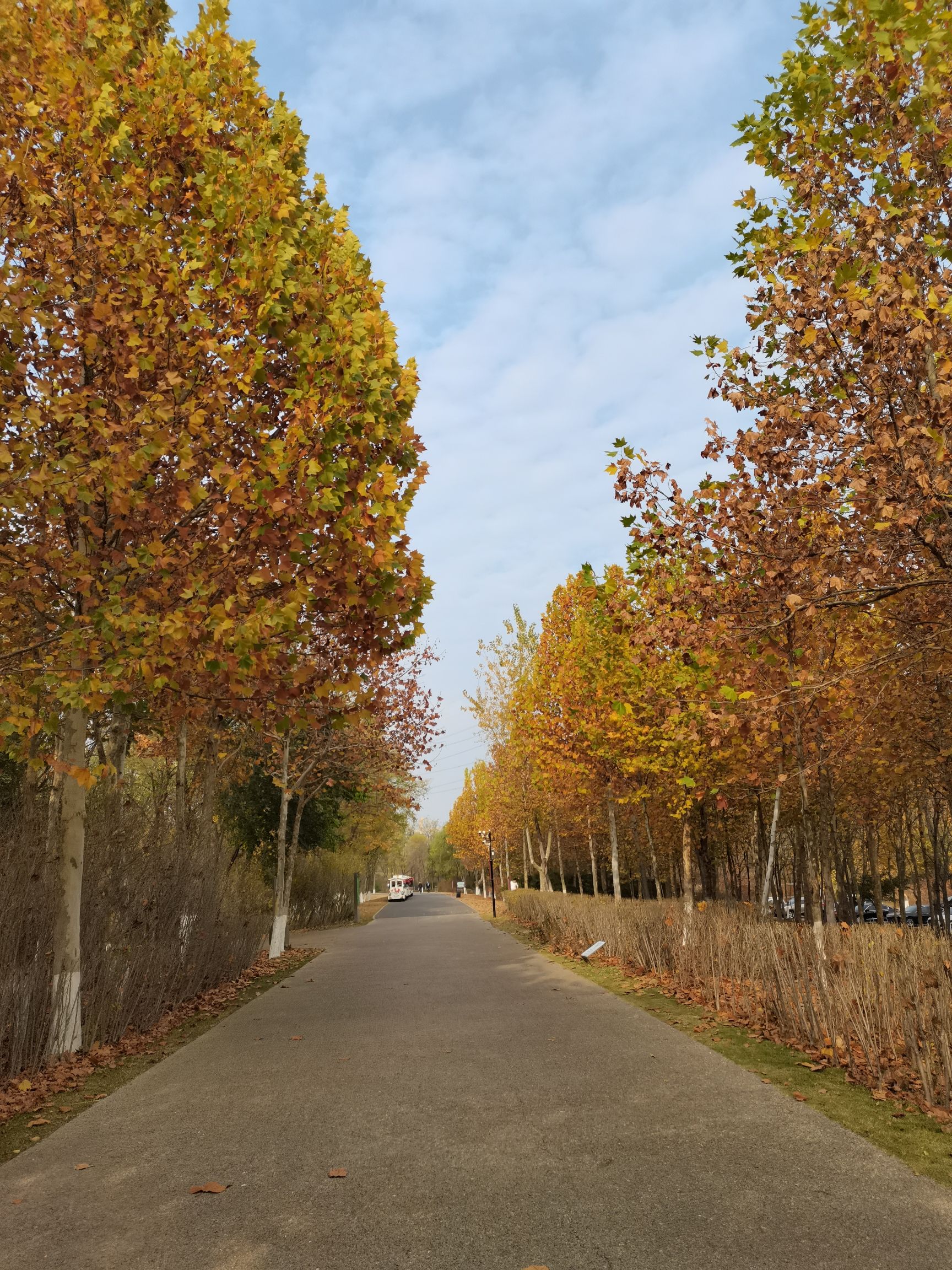白浪河国家湿地公园旅行图片 3